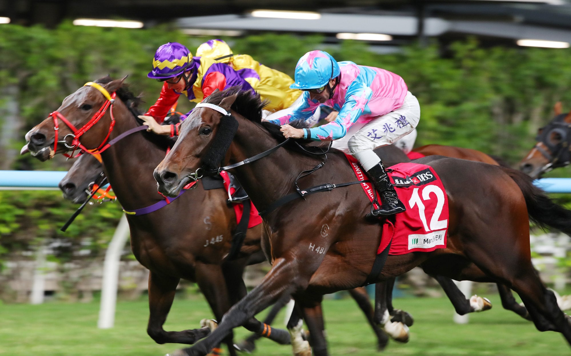 Super Unicorn (near) gets up at Happy Valley in November.