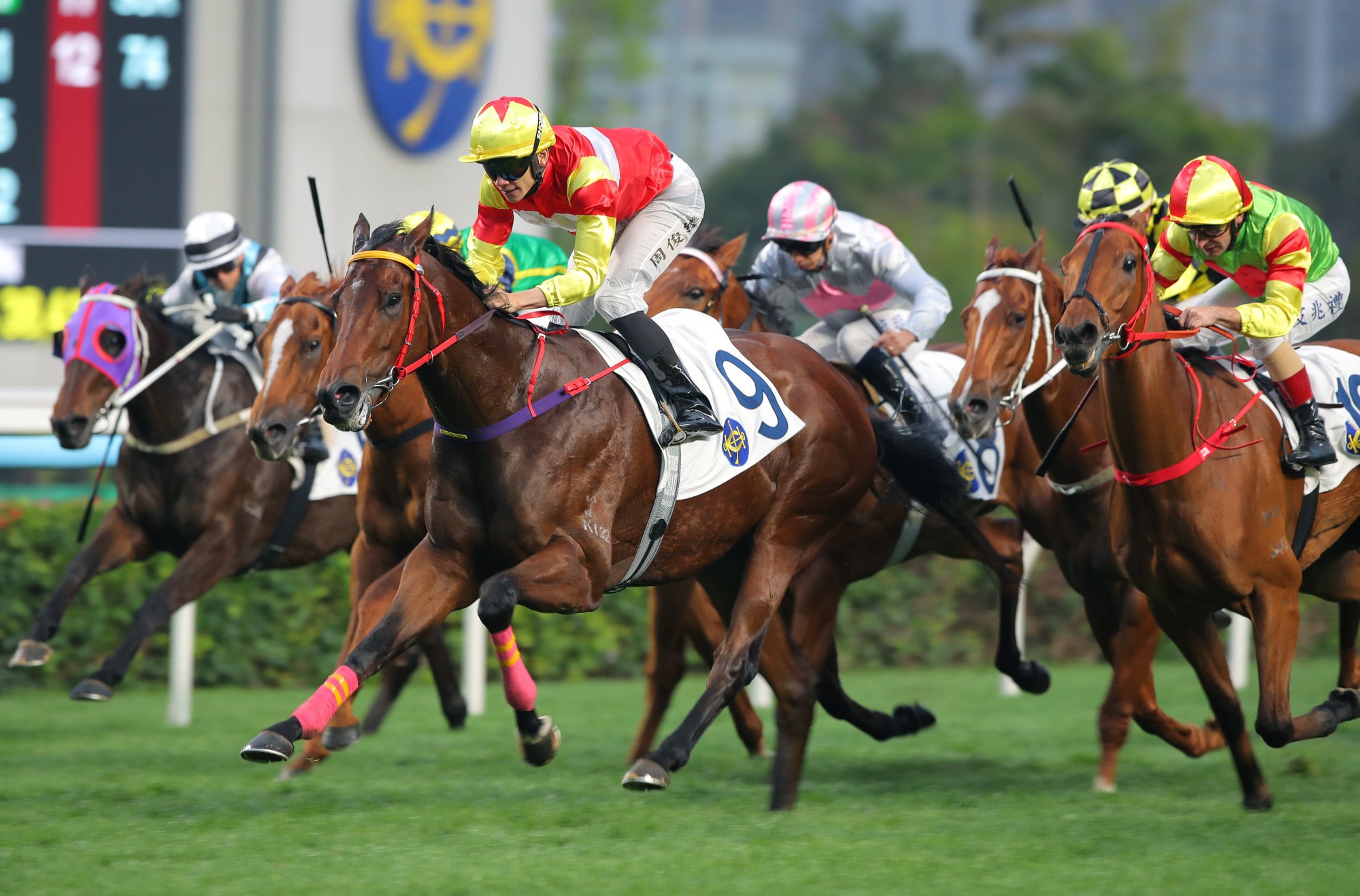 All Out For Six (silver and pink) rallies at Sha Tin earlier this month.