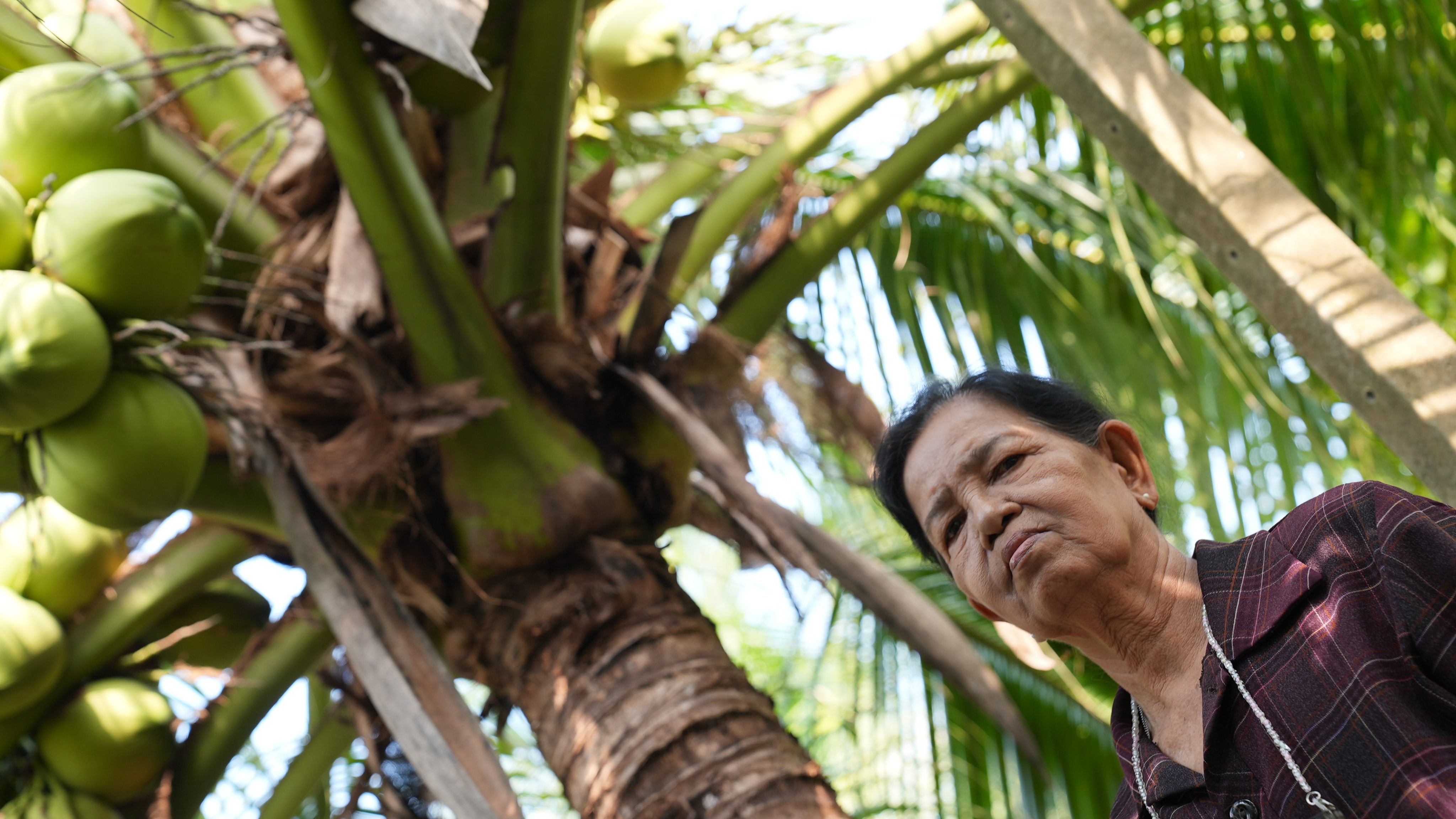 Thai coconut farmer Lamduan Haochareon. Photo: Aidan Jones