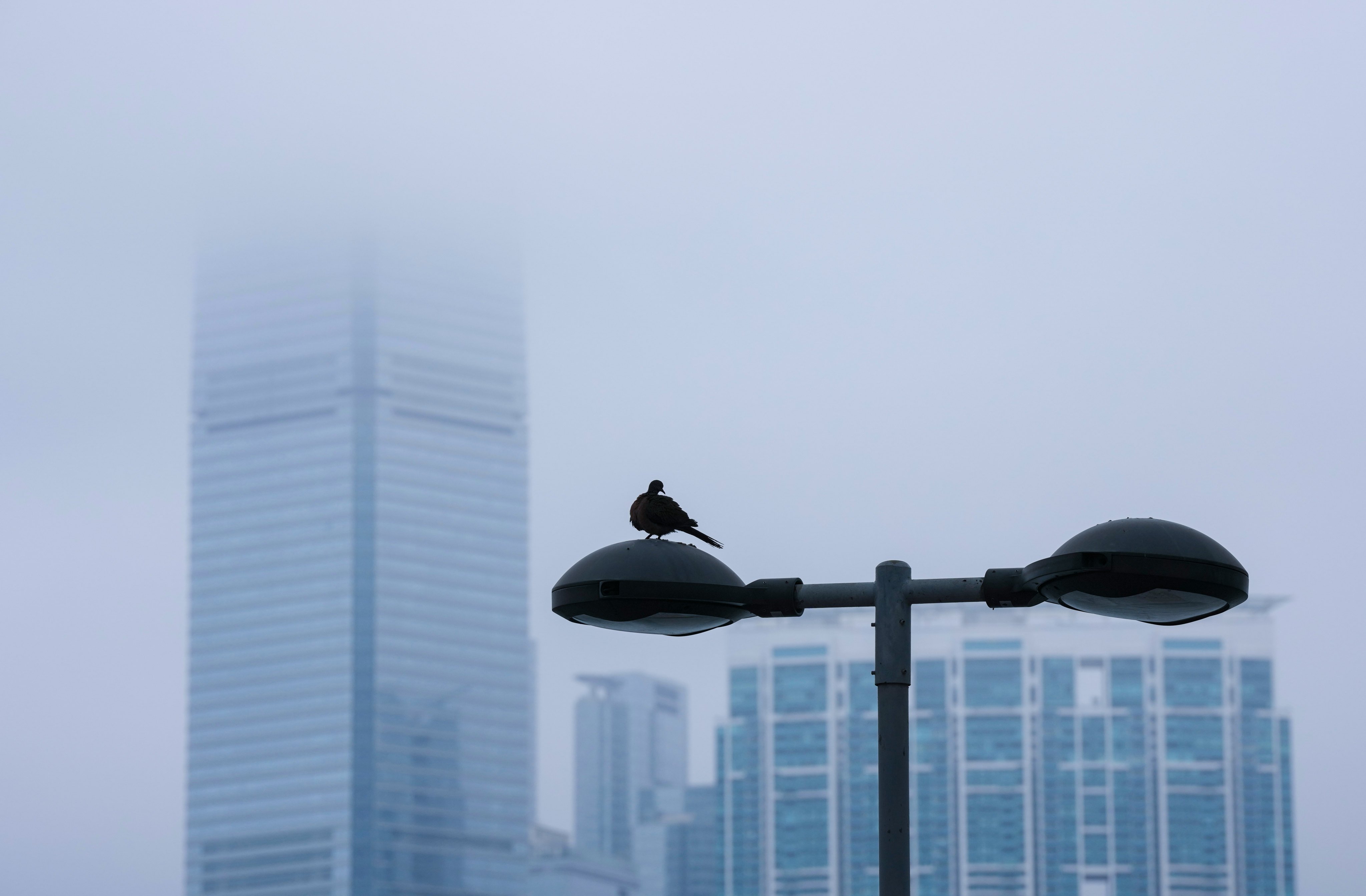 Humidity in Hong Kong is expected to hit 95 per cent by midweek. Photo: Karma Lo