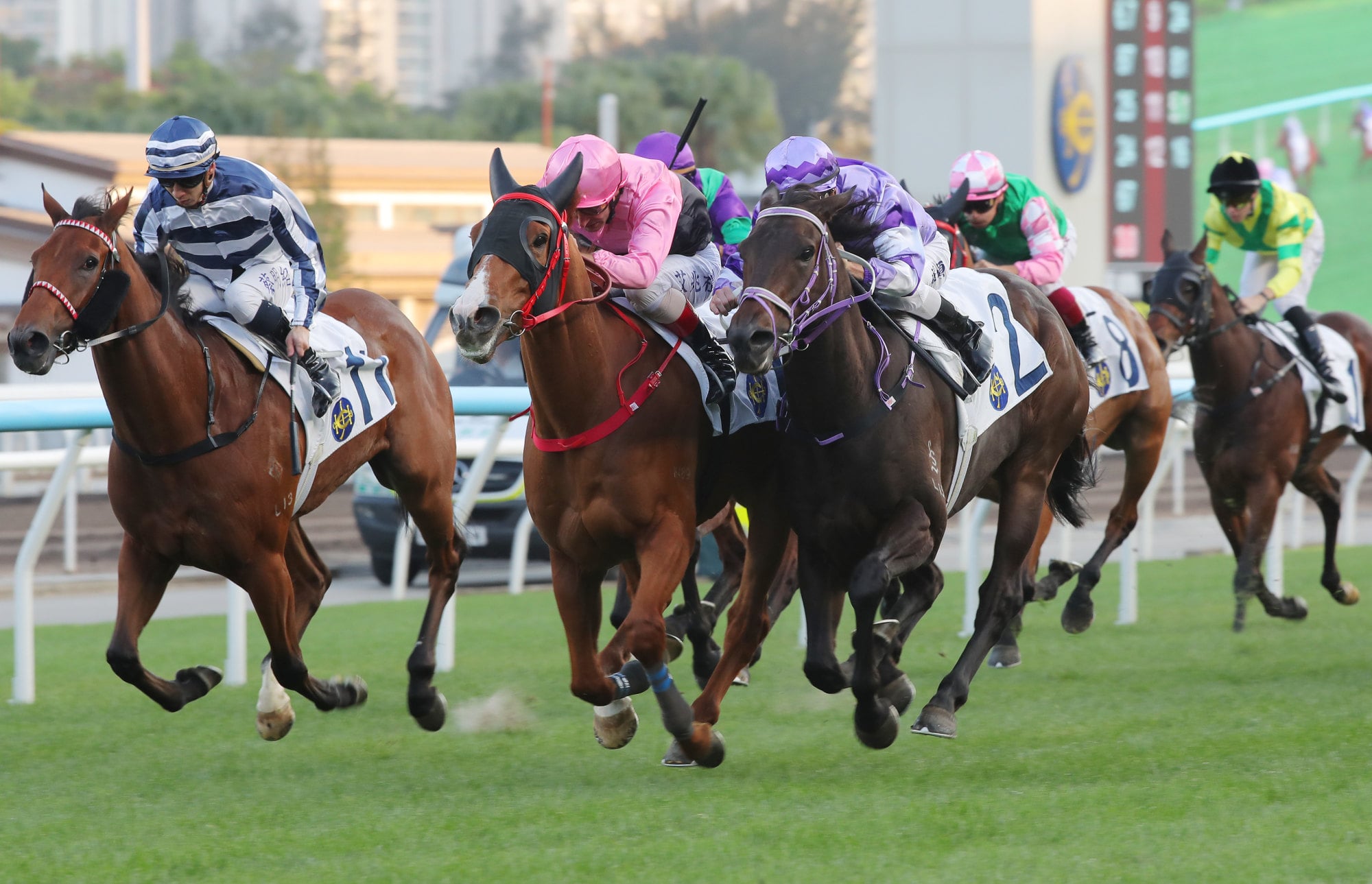 Fit For Beauty (pink) clings on to beat Mighty Masts.
