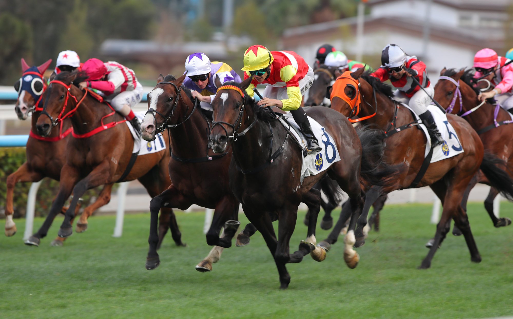 Seraph Gabriel (third from left) runs second to Lucky Sam Gor last month. Seraph Gabriel (third from left) runs second to Lucky Sam Gor last month.