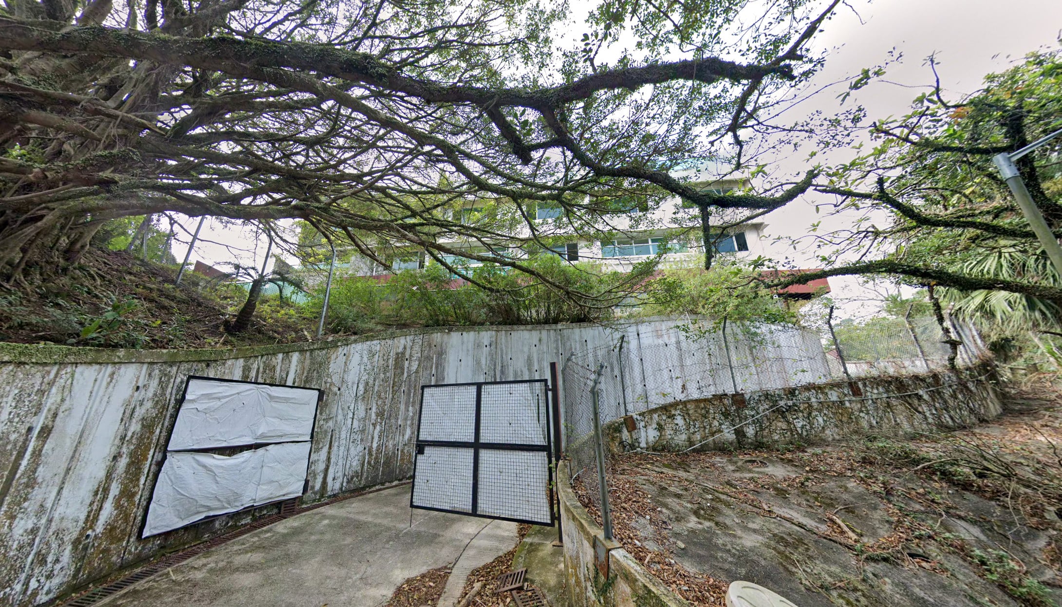 The sites at 86, 88 and 90 Peak Road sold in 2017 for about US$255 million. Photo: Google Map