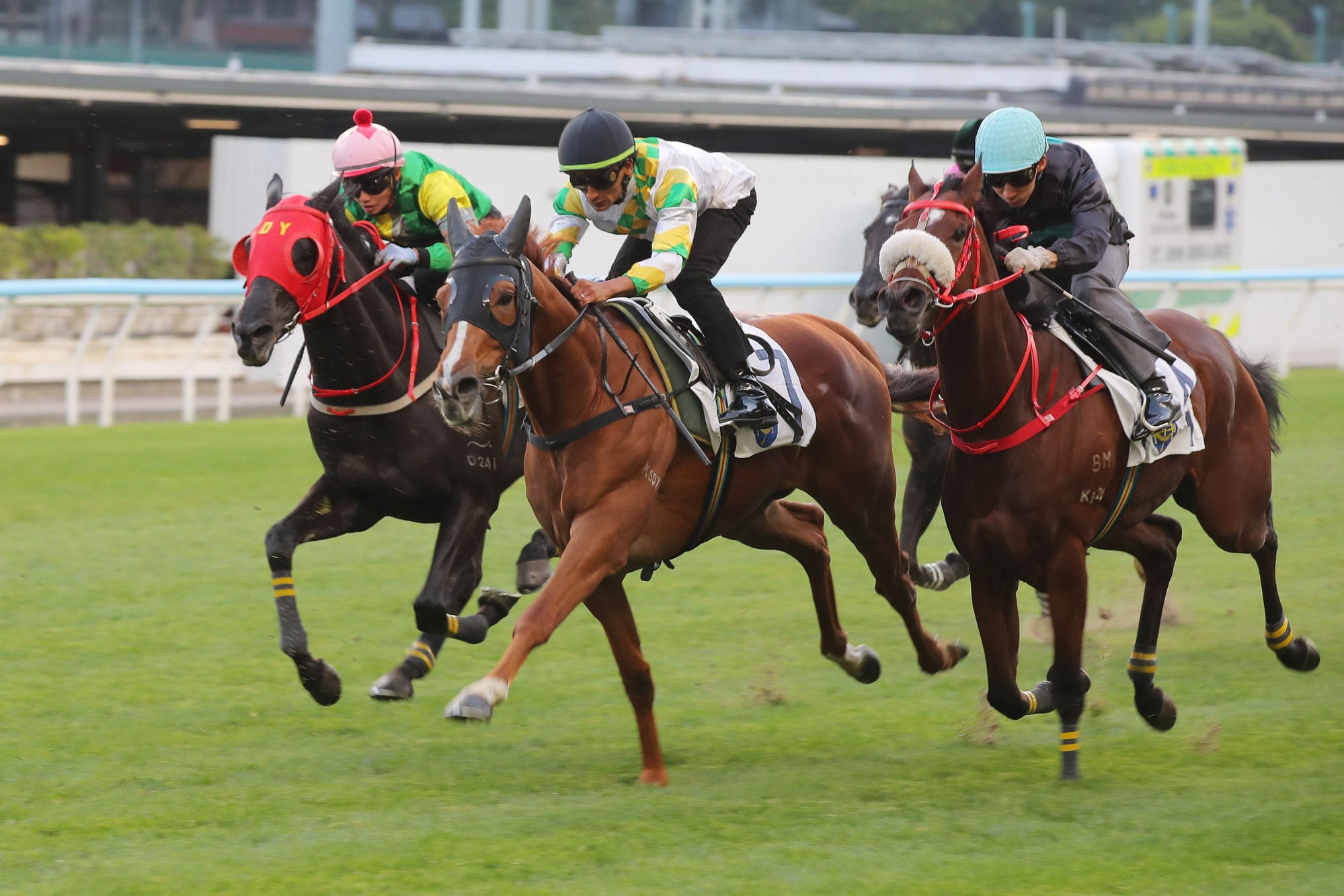 Sagacious Life (middle) trialled at Happy Valley with Karis Teetan on board on 14 March.