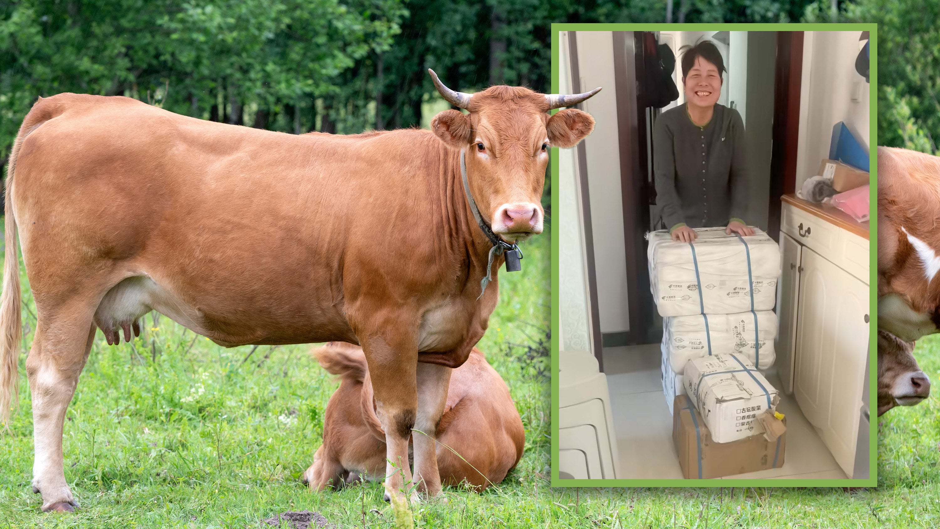A cancer suffering young migrant worker in China who is working away from home in Beijing received a whole butchered cow from her parents who wanted to help her recovery. Photo: SCMP composite/Shutterstock/Douyin