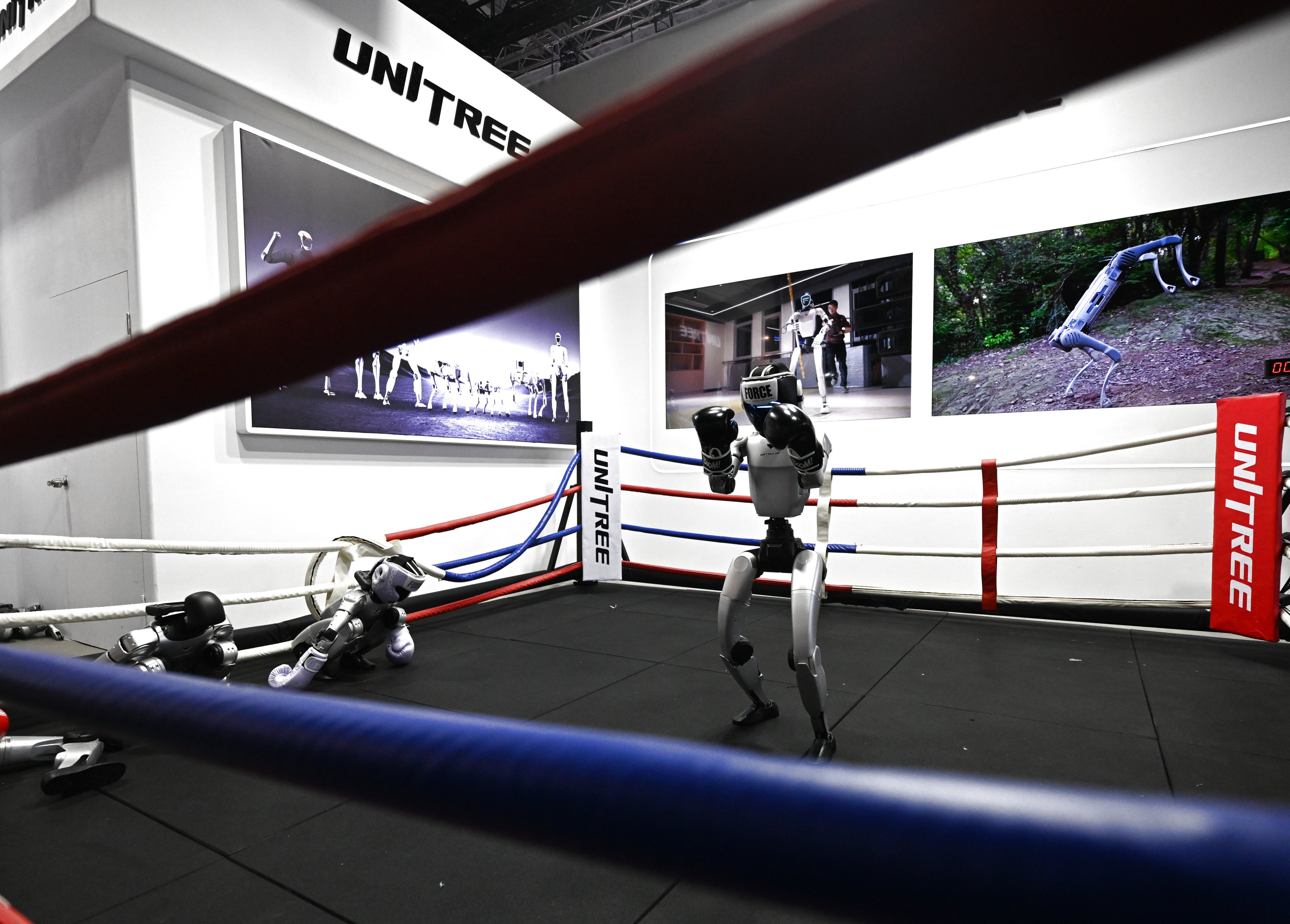 Humanoid robots by Unitree Robotics on display at the Mobile World Congress in Barcelona on March 3, 2026, where Chinese firms showcased advances in AI and mobile technology. Photo: Xinhua