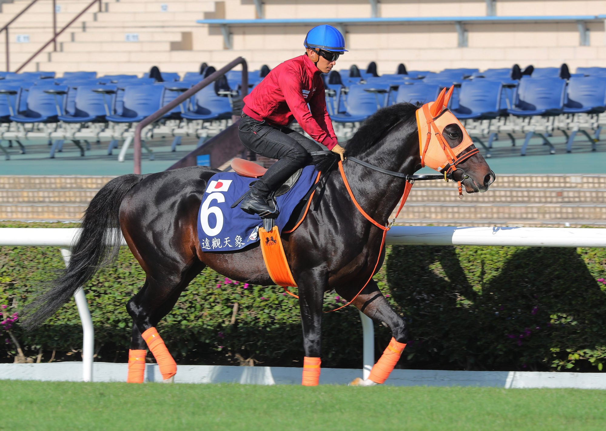 Jantar Mantar is expected to return to Hong Kong for the Champions Mile next month. Photo: Kenneth Chan