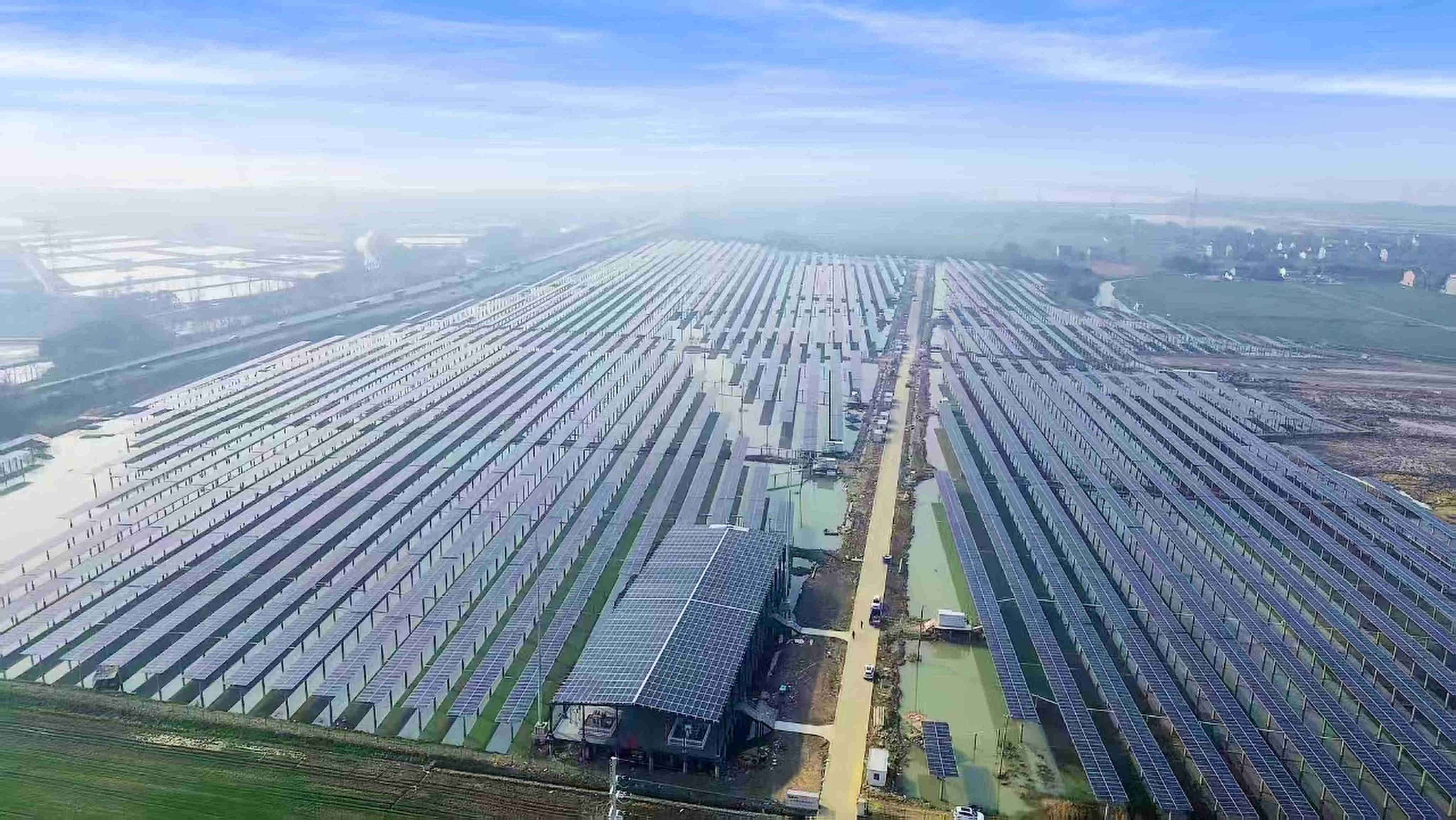 A solar farm built by GLP on a fishery site in Suzhou, eastern Jiangsu province. Photo: Handout