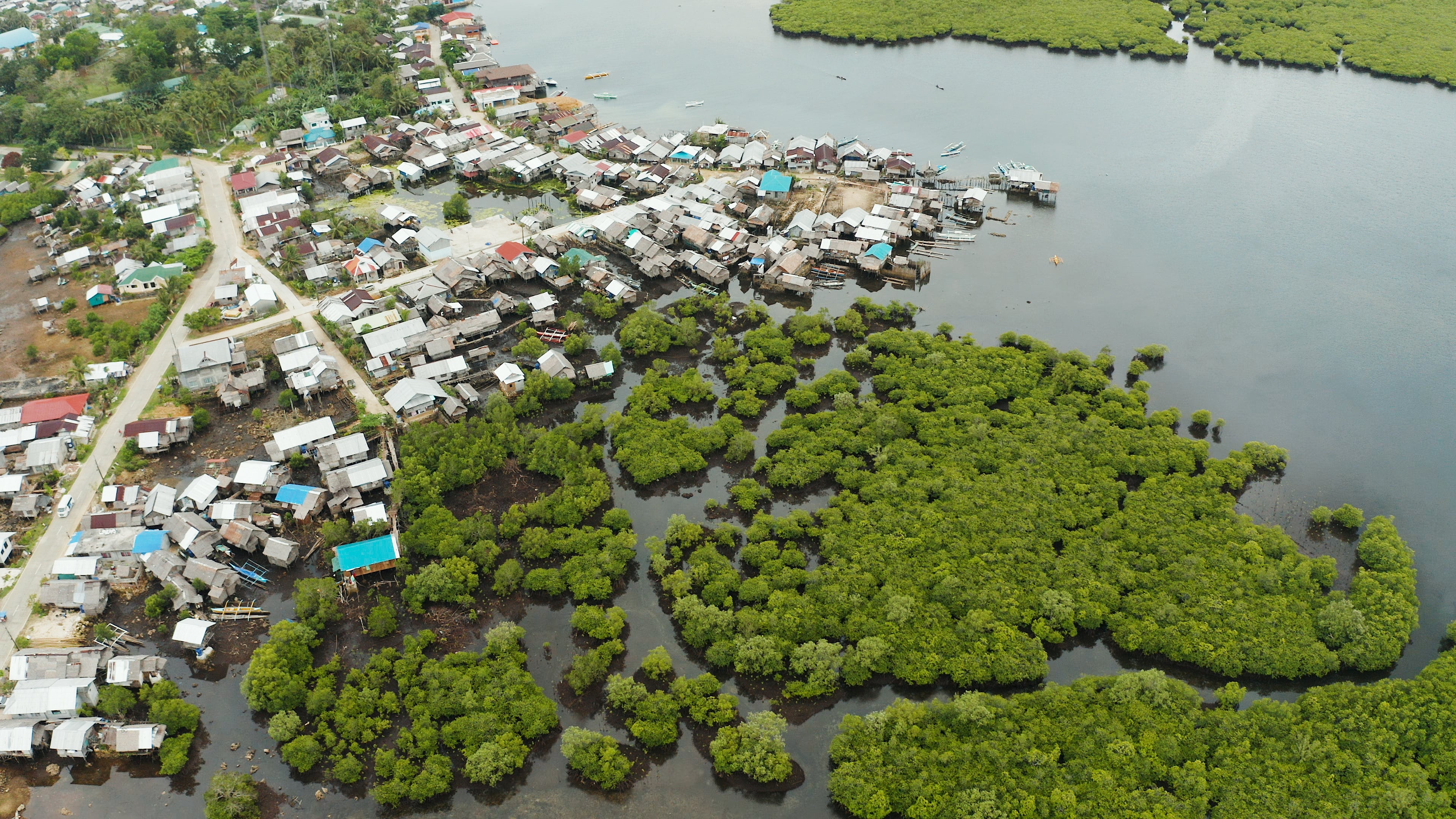 Wetlands and mangroves along the coast of Siargao island in the Philippines. Photo: Getty Images