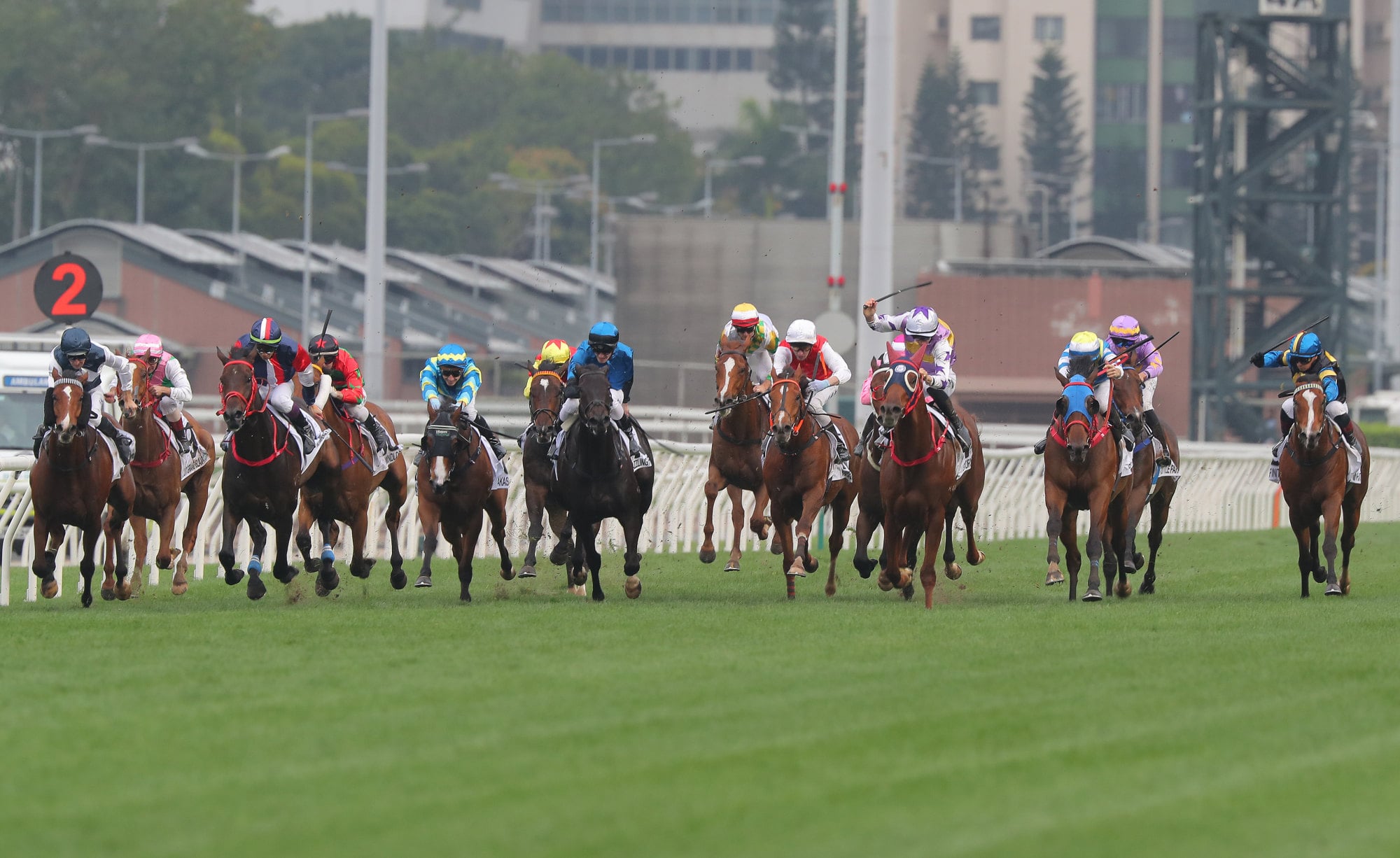 Invincible Ibis (far left) shoots up the rail in the Classic Cup.