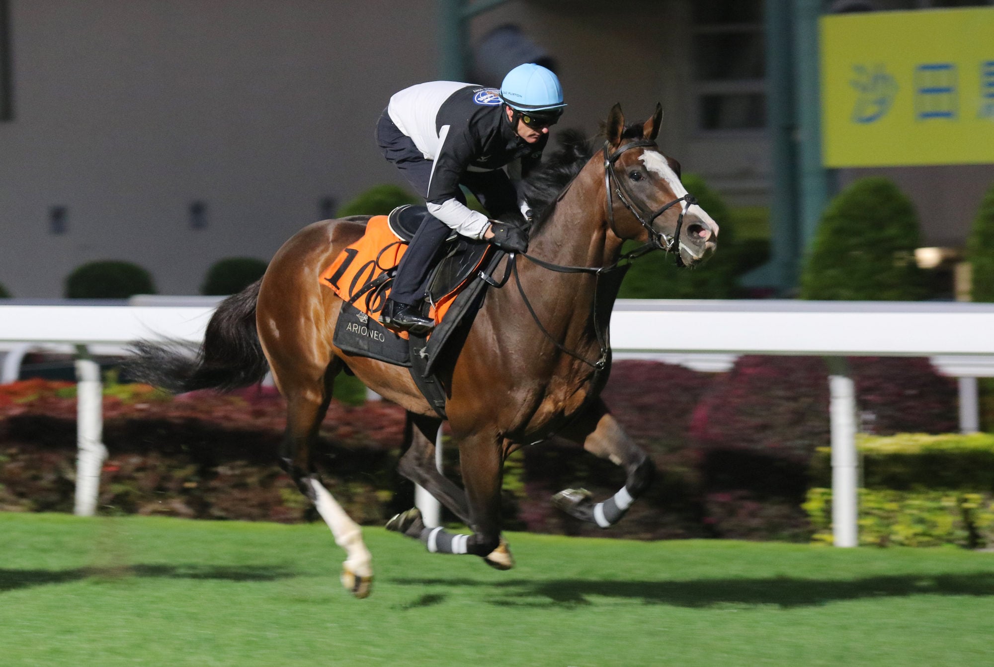 Zac Purton puts Seraph Gabriel through his paces at Sha Tin. Zac Purton puts Seraph Gabriel through his paces at Sha Tin.