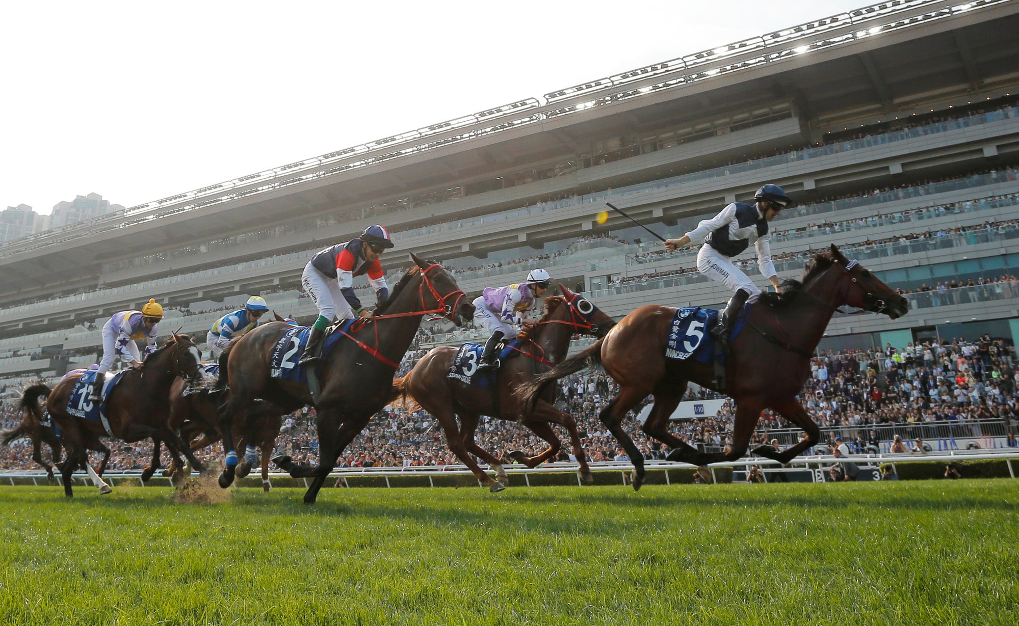 Invincible Ibis storms home to claim the Derby.
