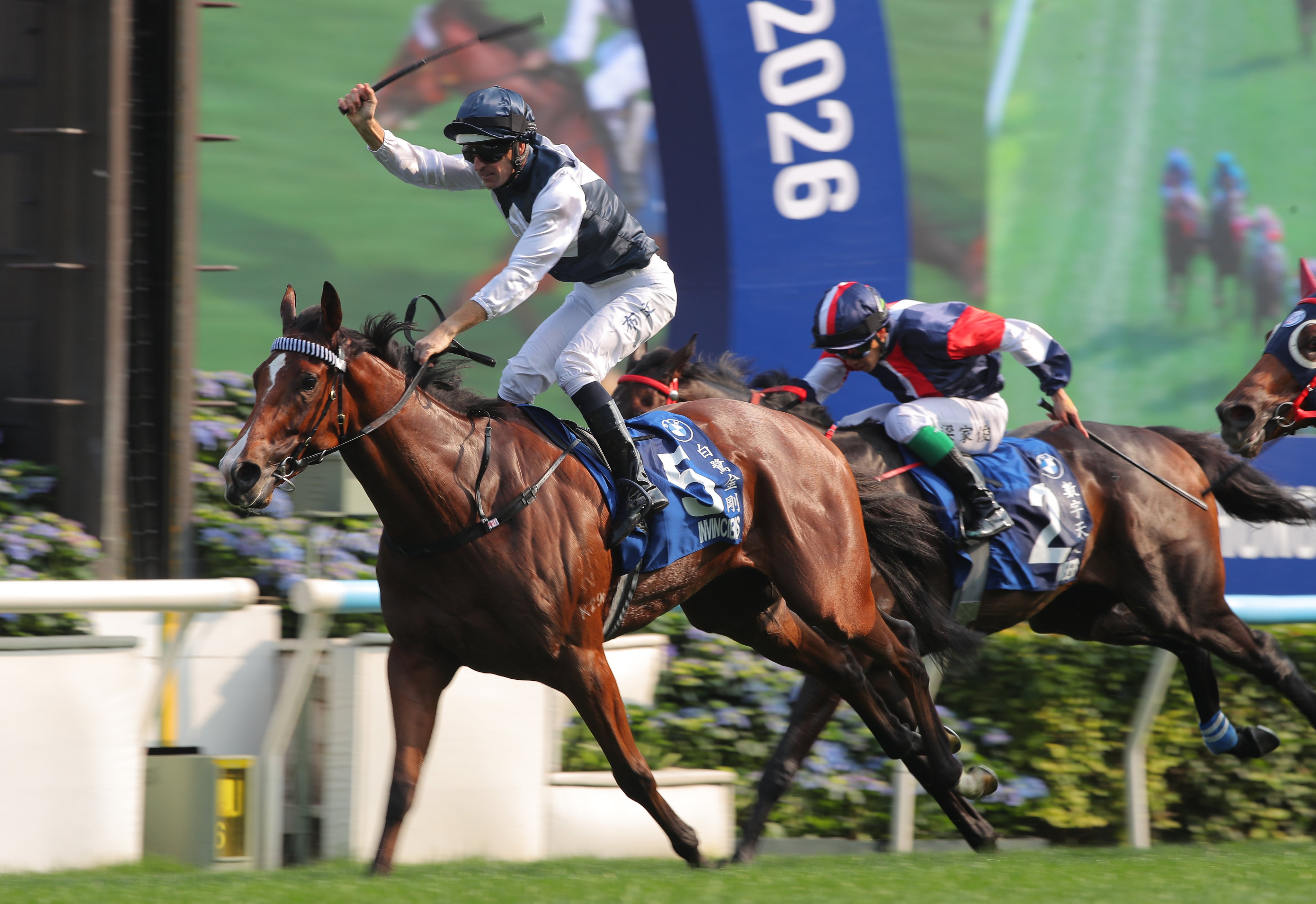 Hugh Bowman salutes after booting home Invincible Ibis in the 2026 Hong Kong Derby. Photos: Kenneth Chan