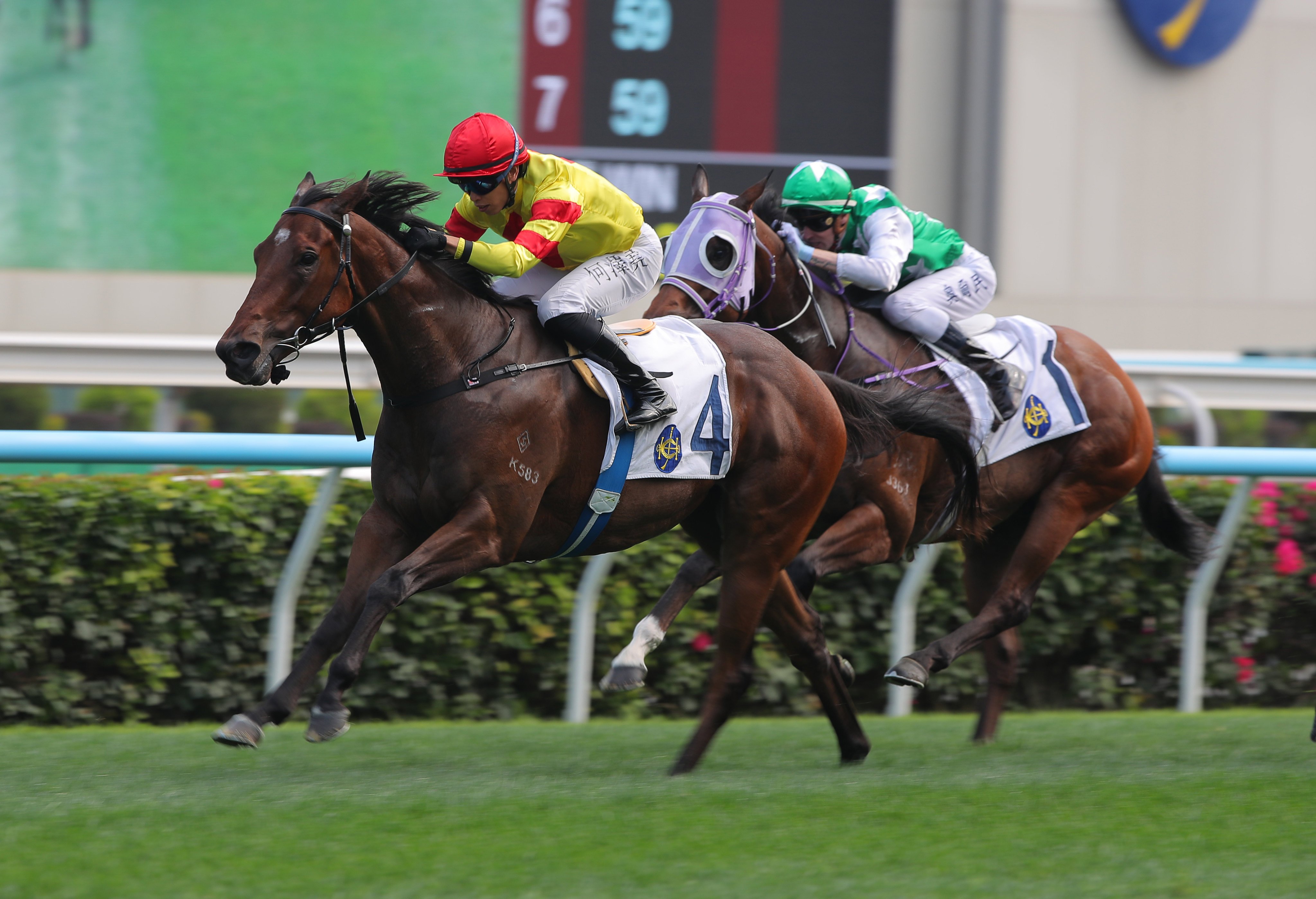 Hot Delight and Vincent Ho triumph at Sha Tin. Photos: Kenneth Chan.