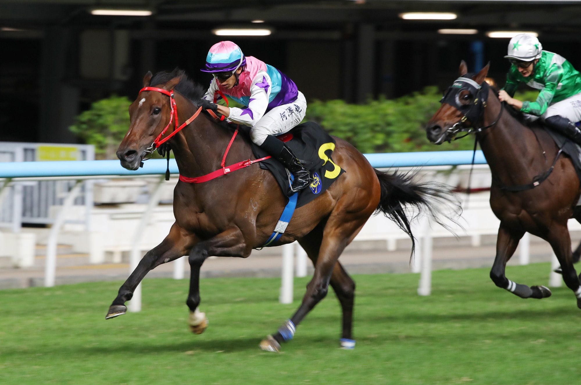Glorious Journey and Vincent Ho will partner once again at Happy Valley.