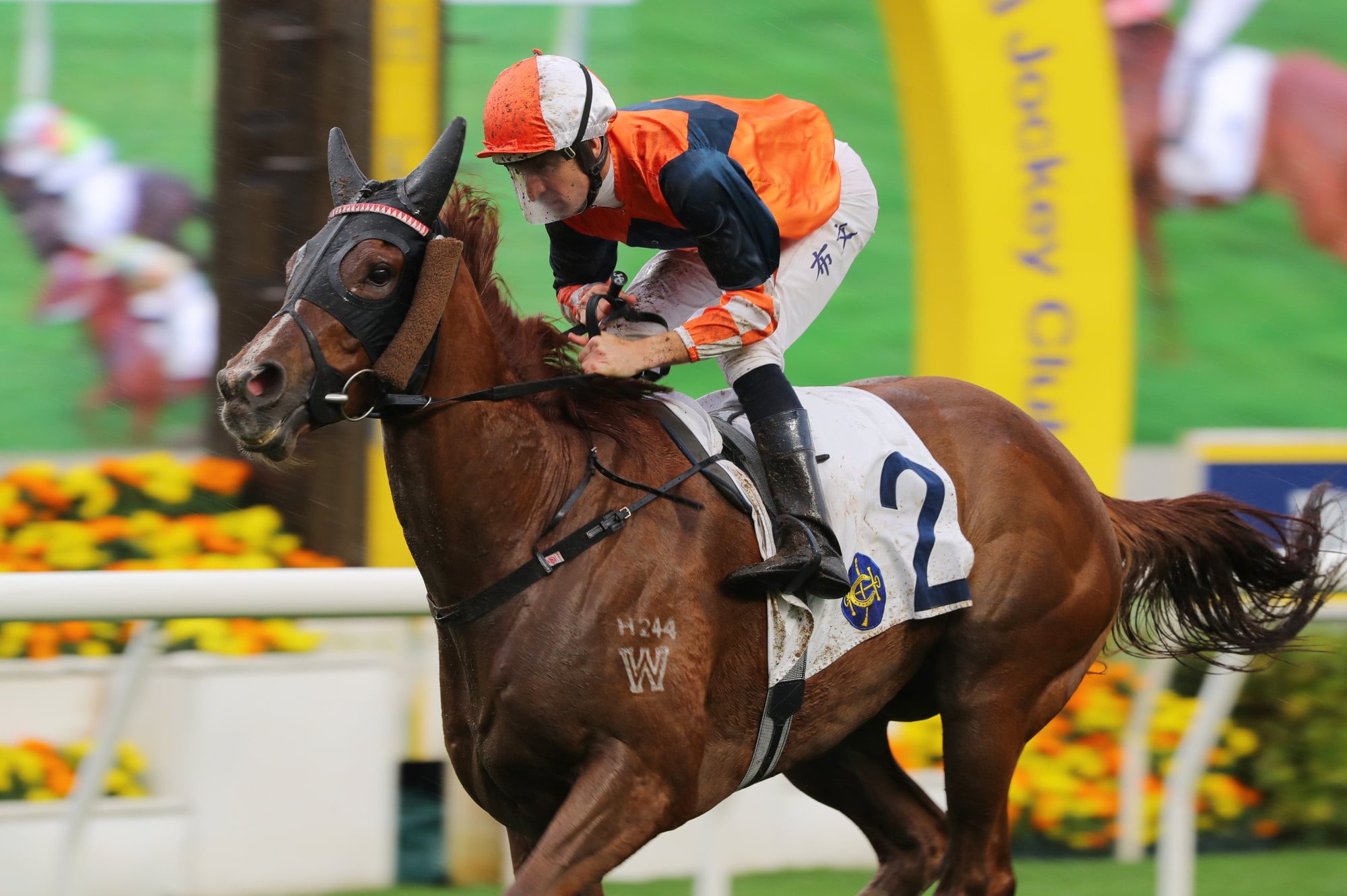 Sunlight Power wins at Sha Tin in March last year.