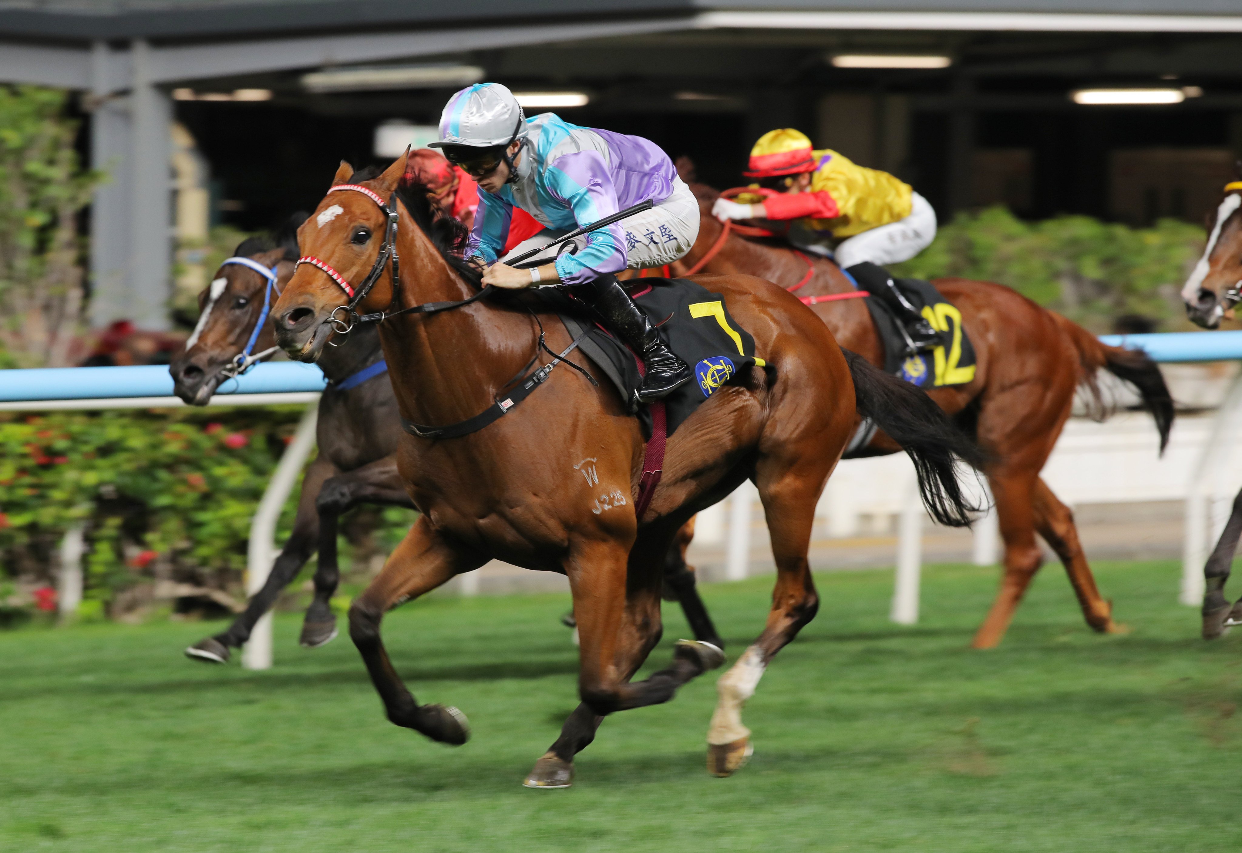 Solid Win, ridden by Dylan Browne McMonagle, triumphs at Happy Valley. Photos: Kenneth Chan.