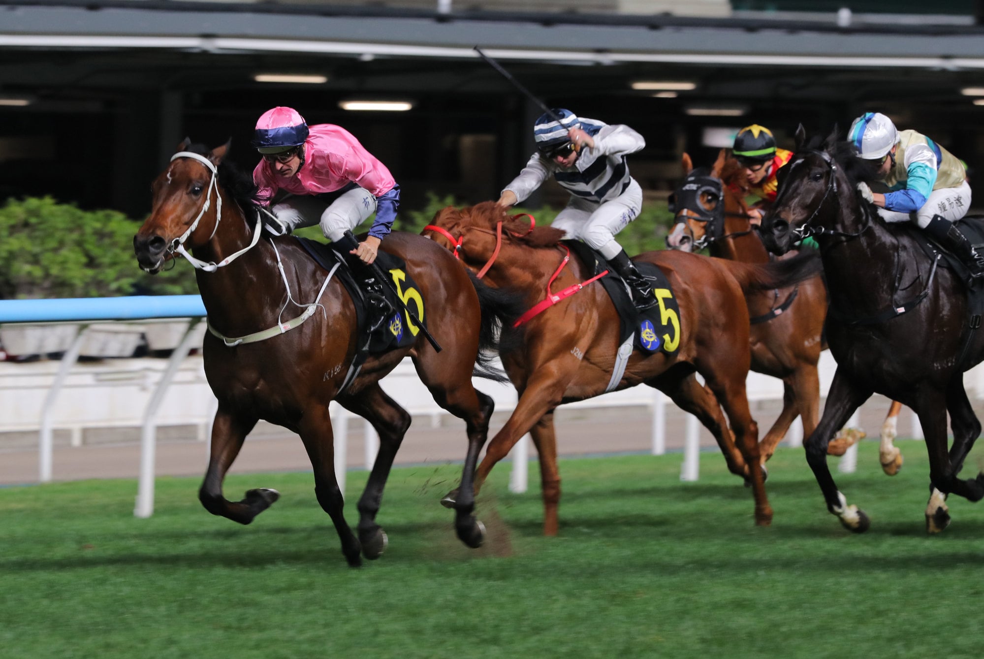 Beautiful Viva is experiencing her first domestic success under Hugh Bowman.