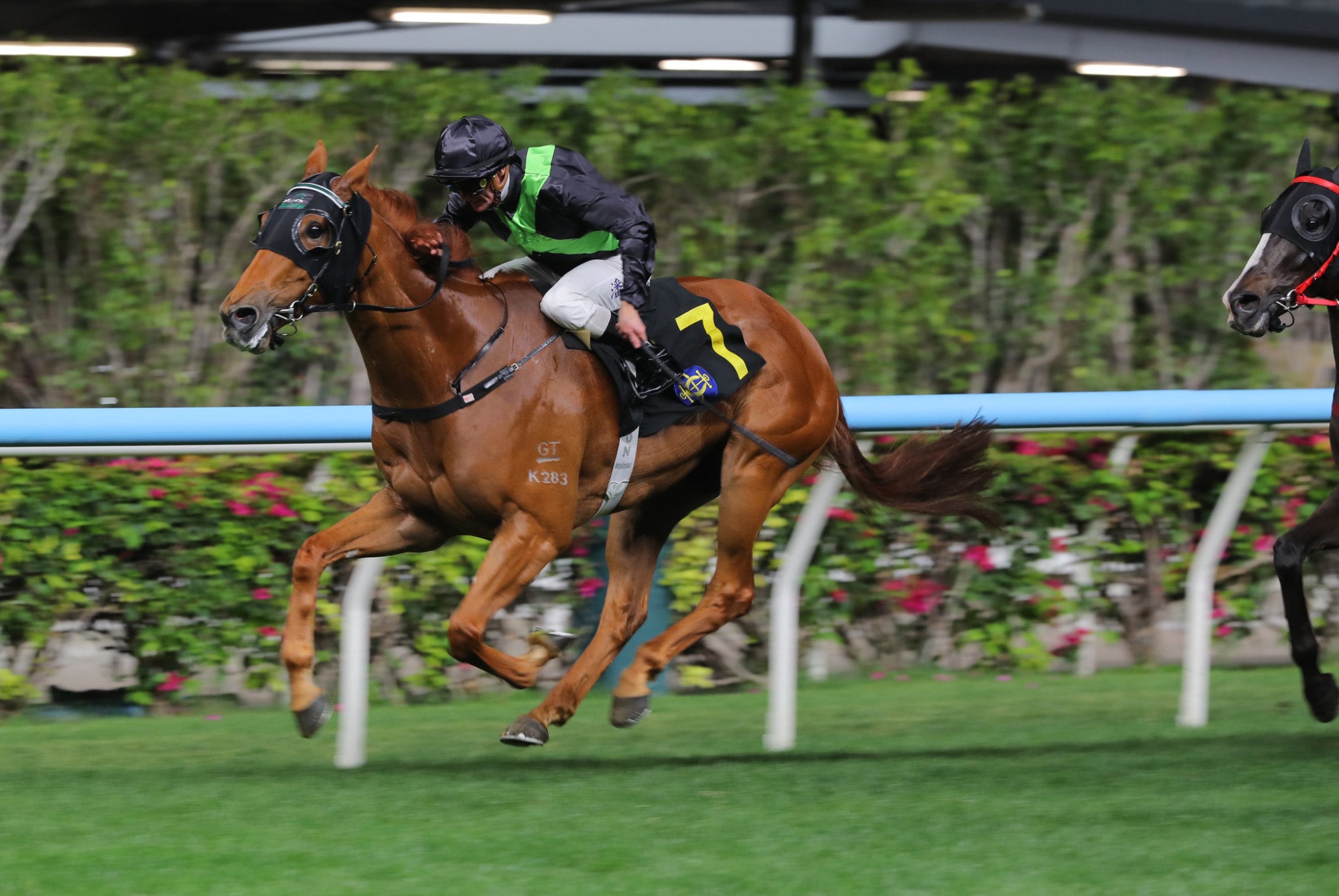 Zac Purton boots home faithful Witness.