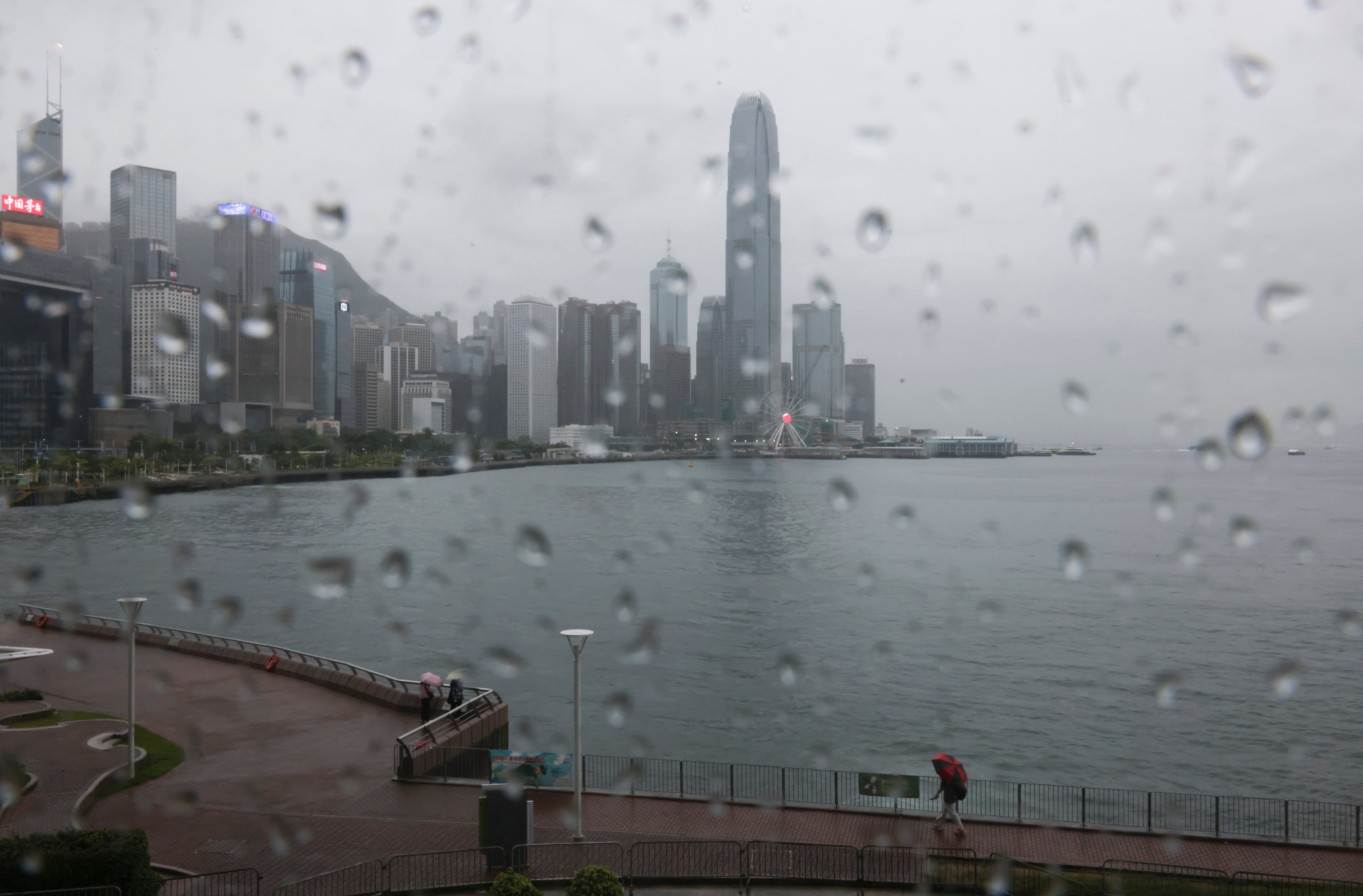 People brave the rain at Wan Chai promenade while a black rainstorm warning is issued by the Hong Kong Observatory on August 14, 2025. Photo: Nora Tam