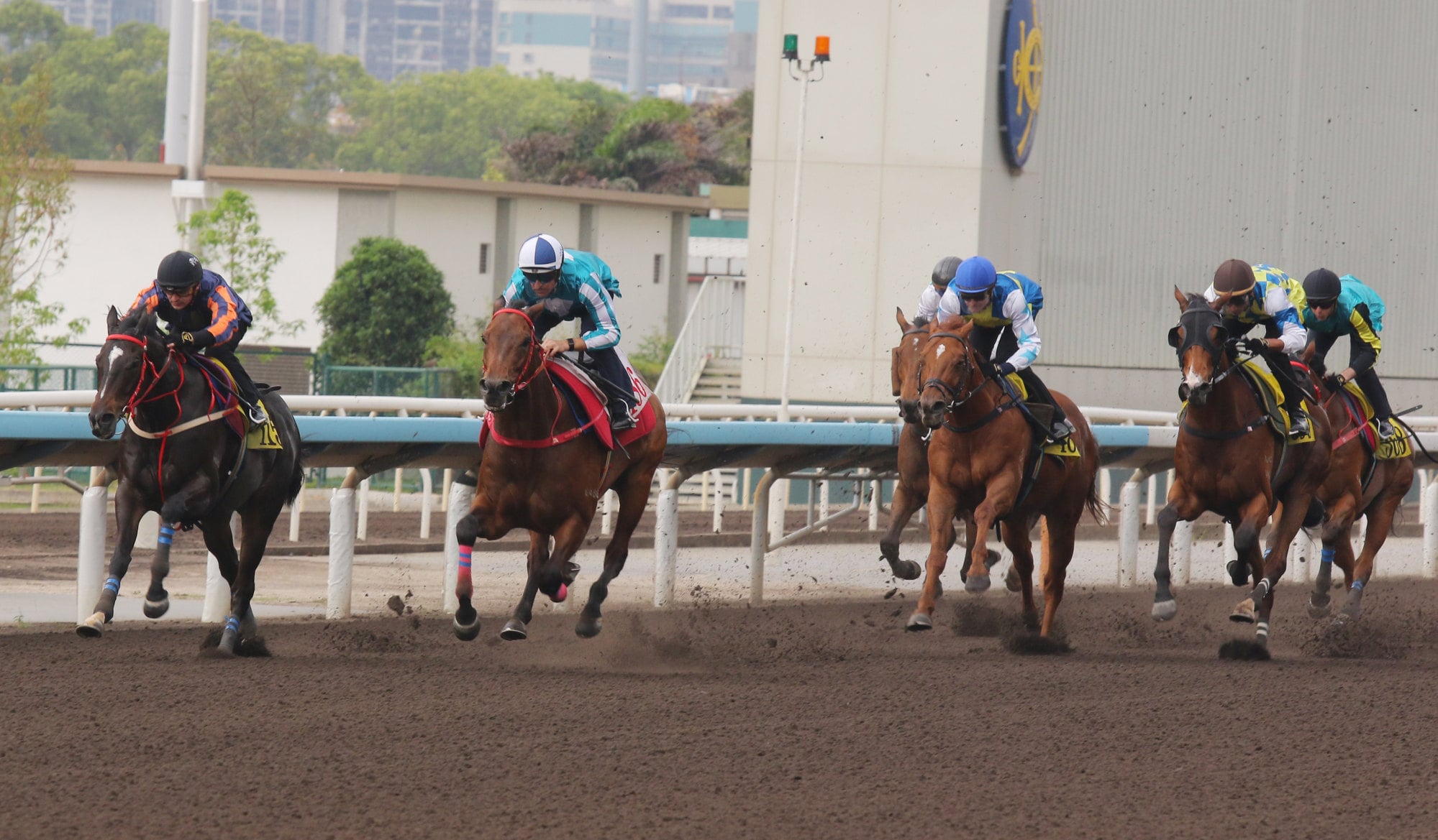 Red Lion (left), Romantic Warrior (second from left) and Galaxy Patch (right) in action in Thursday’s star-studded trial. Red Lion (left), Romantic Warrior (second from left) and Galaxy Patch (right) in action in Thursday’s star-studded trial.