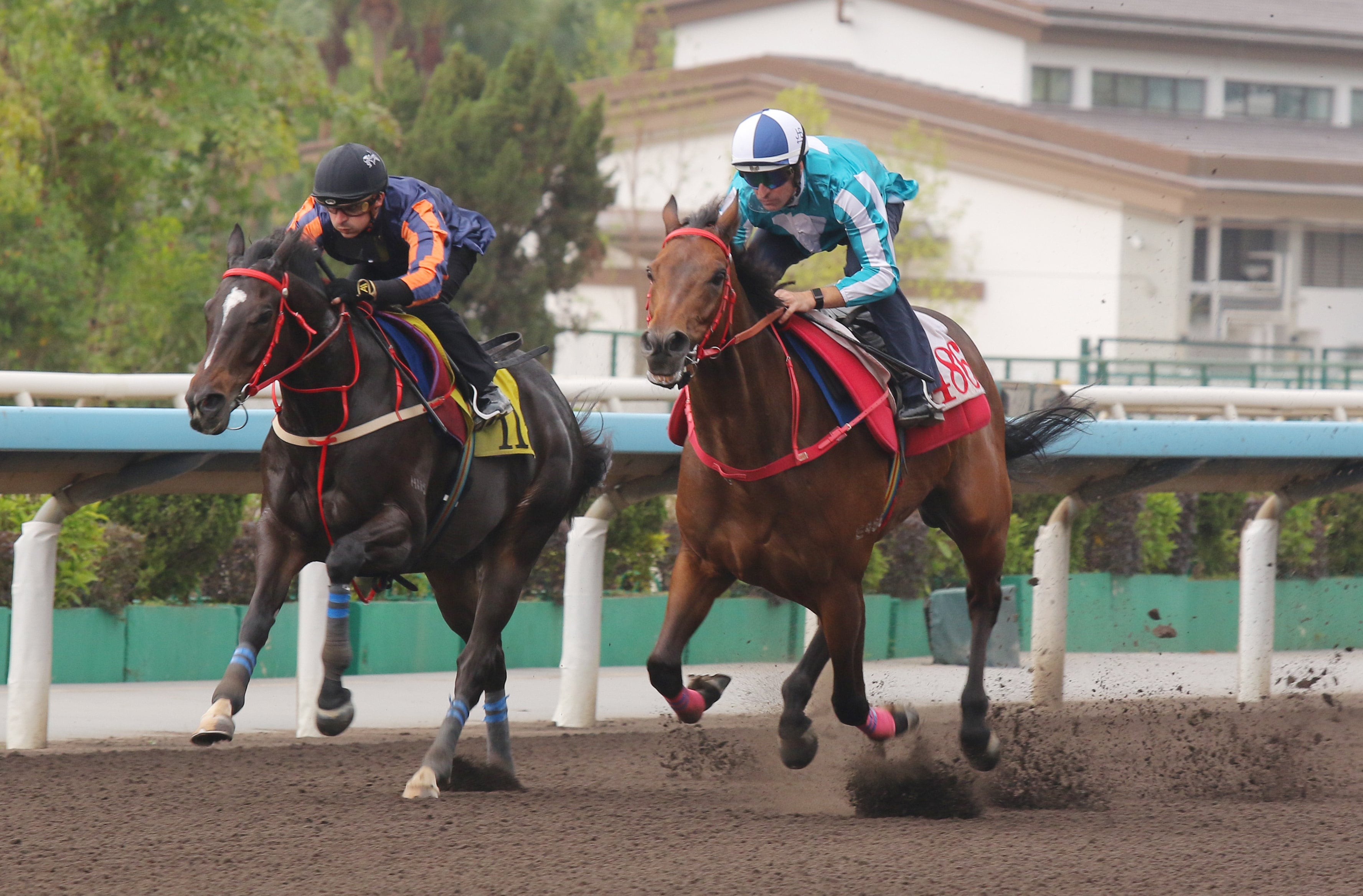 Romantic Warrior (outside) surges past Red Lion to win a dirt trial. Photos: Kenneth Chan