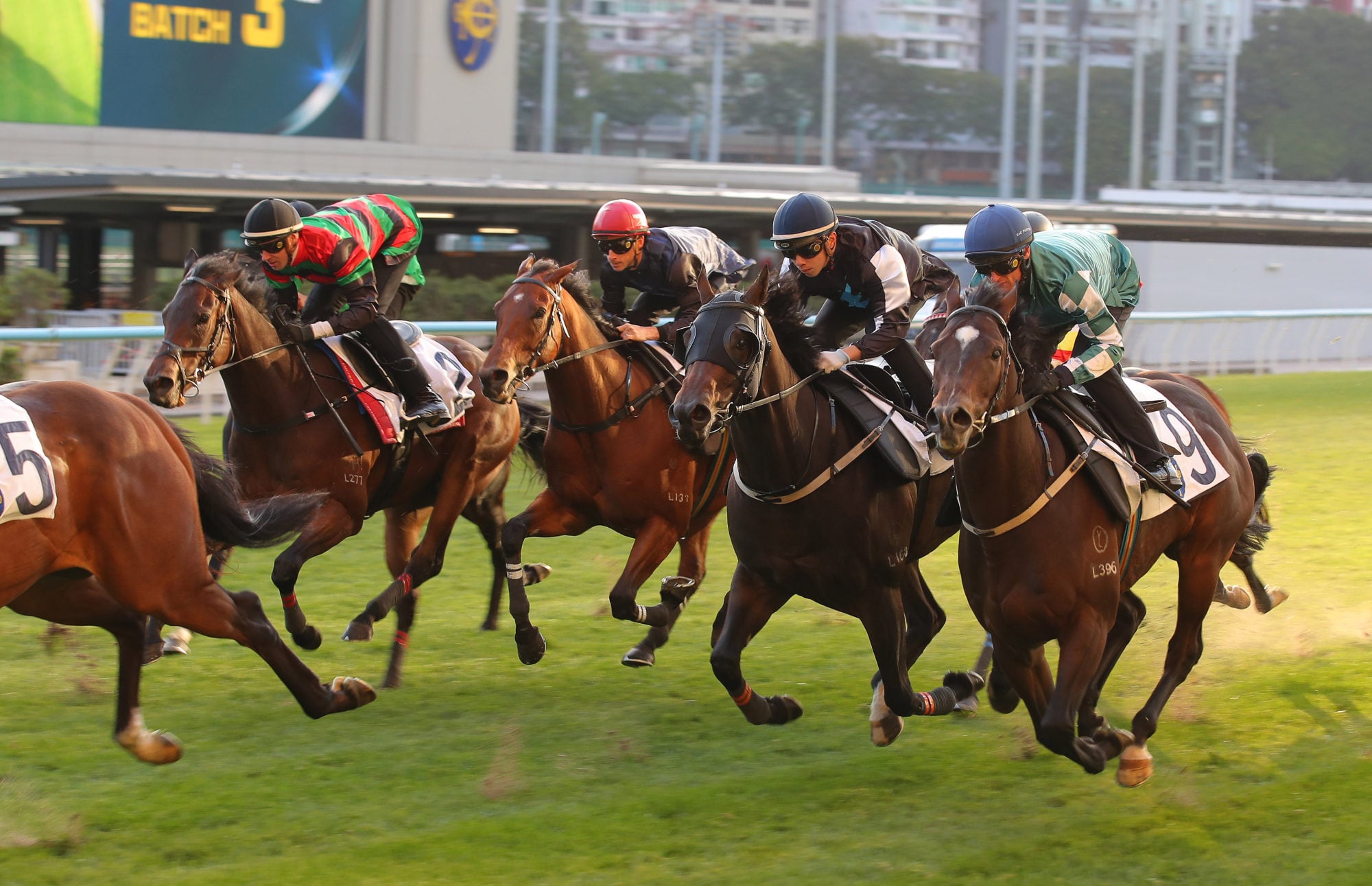 Pocketing (right) thunders home in a Happy Valley trial. Pocketing (right) thunders home in a Happy Valley trial.