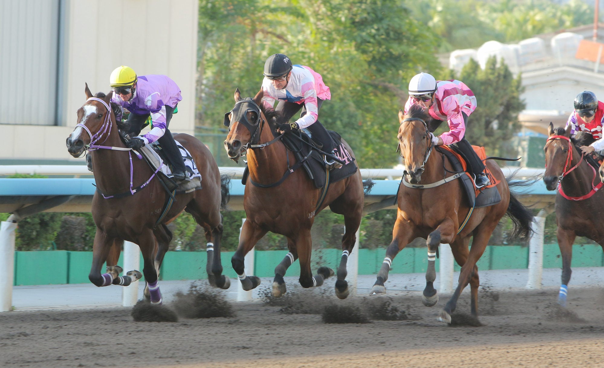 Vigor Eye (white cap) trials at Sha Tin. Vigor Eye (white cap) trials at Sha Tin.