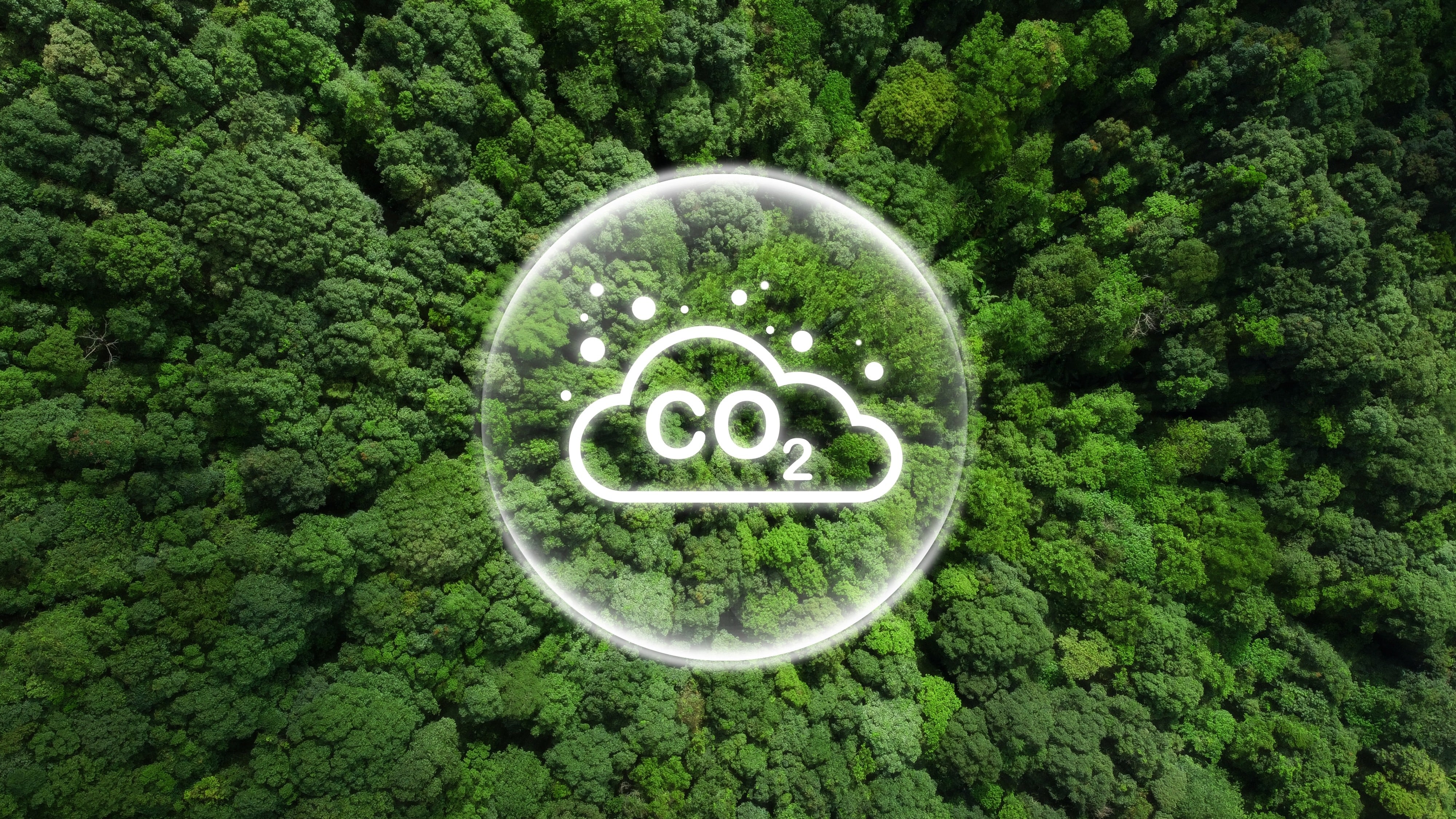 Carbon dioxide and other greenhouse gases are released when fossil fuels are burned. Photo: Shutterstock