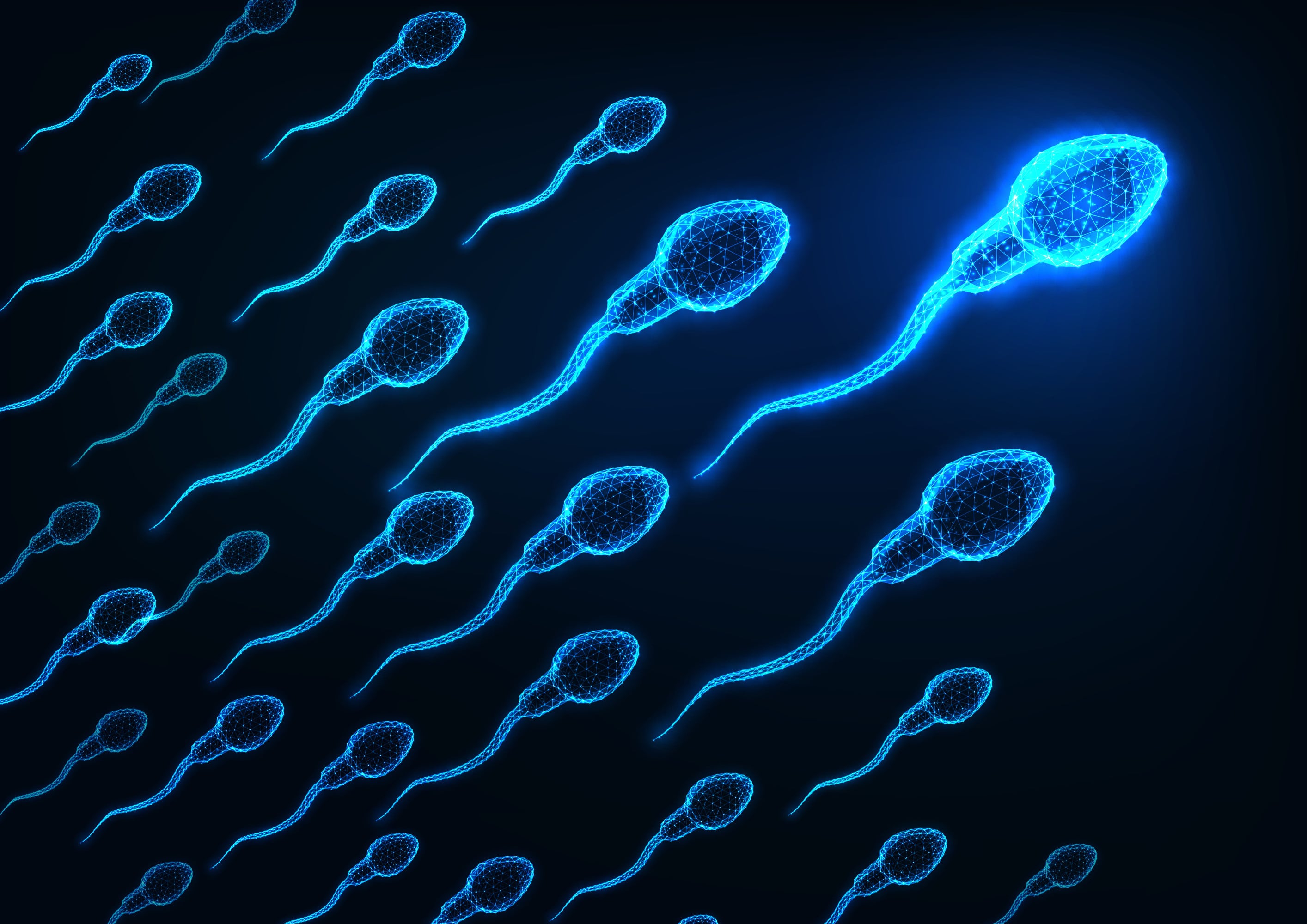 Some particularly resilient sperm made it through the obstacle course, suggesting that conceiving children in space will still be possible. Image: Shutterstock