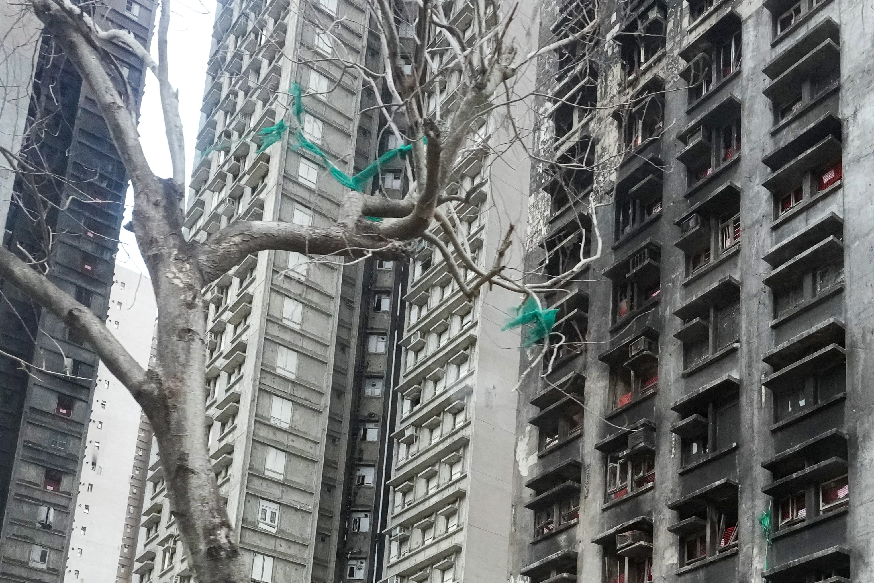 Errors have been found in the official hearing transcripts into Hong Kong’s deadly Tai Po blaze. Photo: Jelly Tse