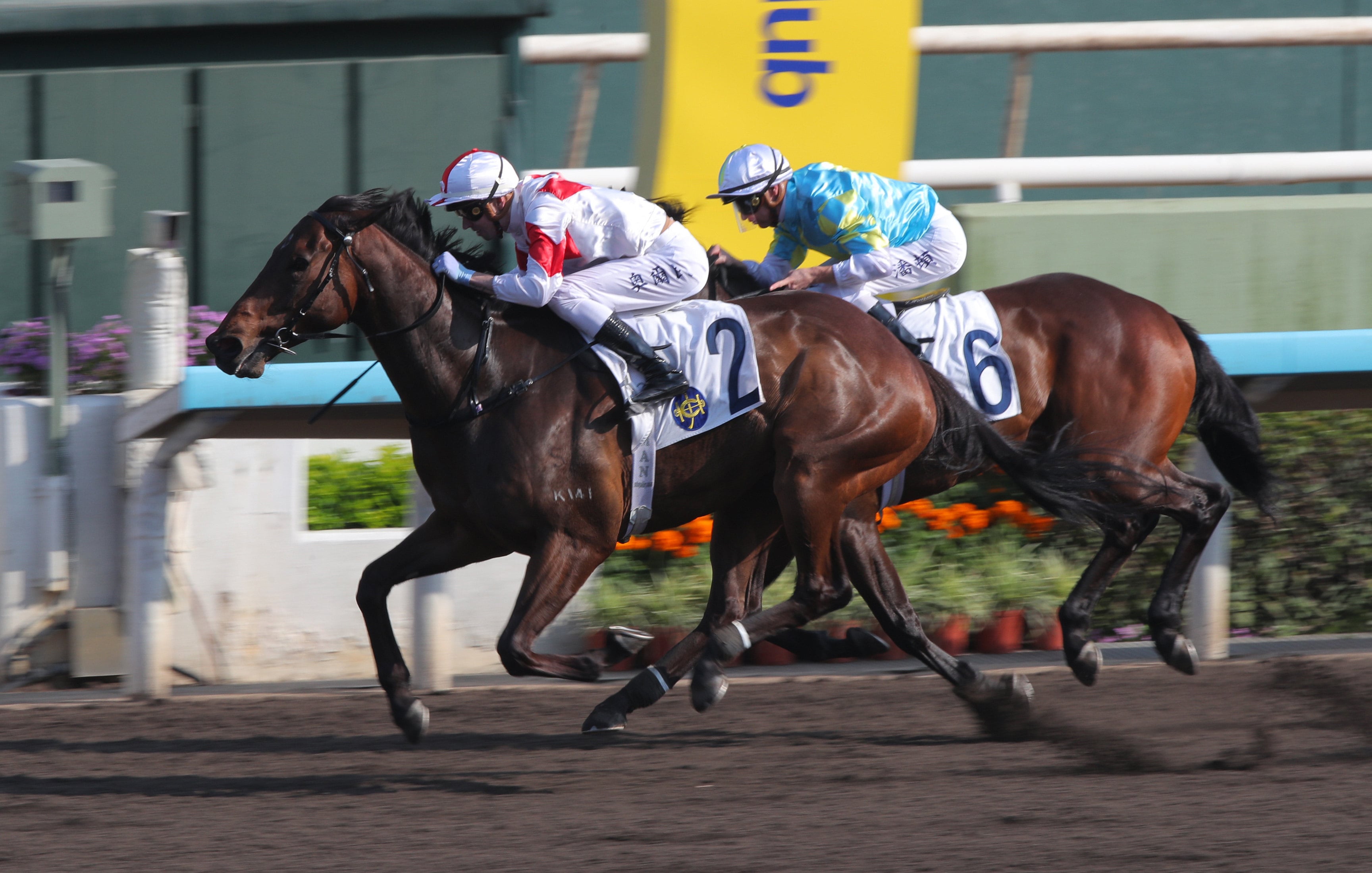 Magnifique and James Orman win a strong Class Three at Sha Tin. Photos: Kenneth Chan