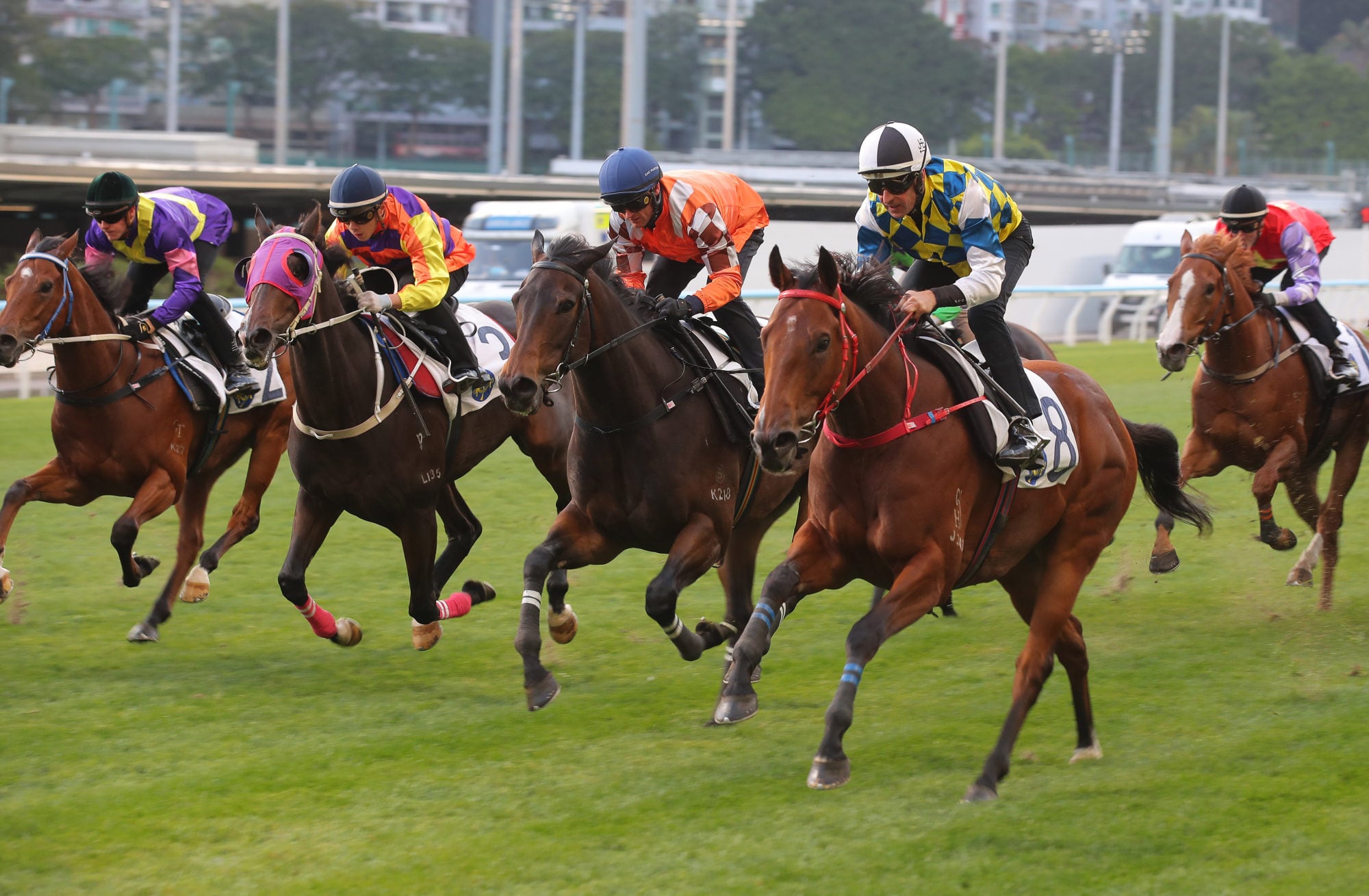 Bulb General (second right) trials at Happy Valley.