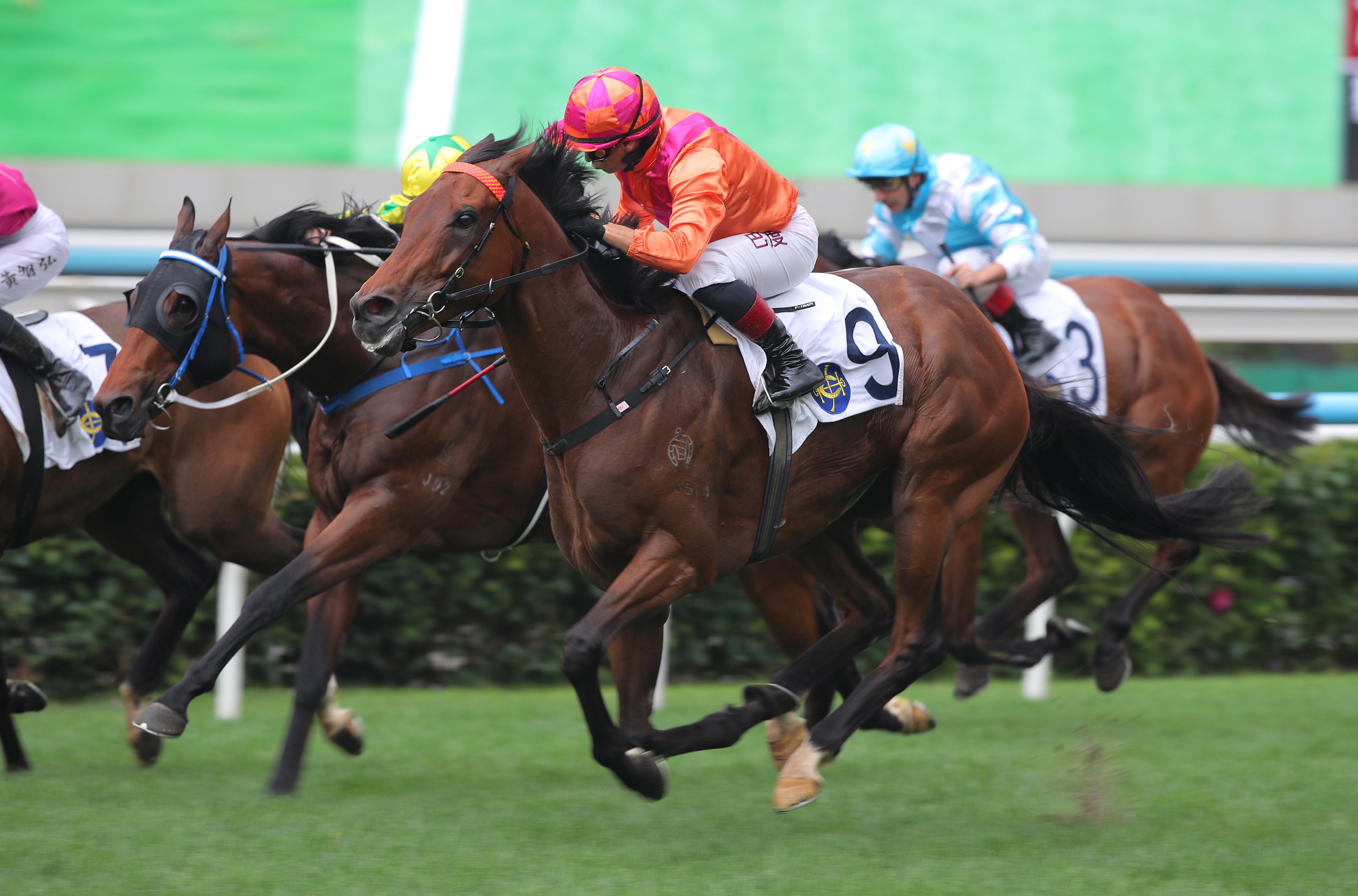 Max Que, ridden by Alexis Badel, highlights Mark Newnham’s treble at Sha Tin. Photos: Kenneth Chan