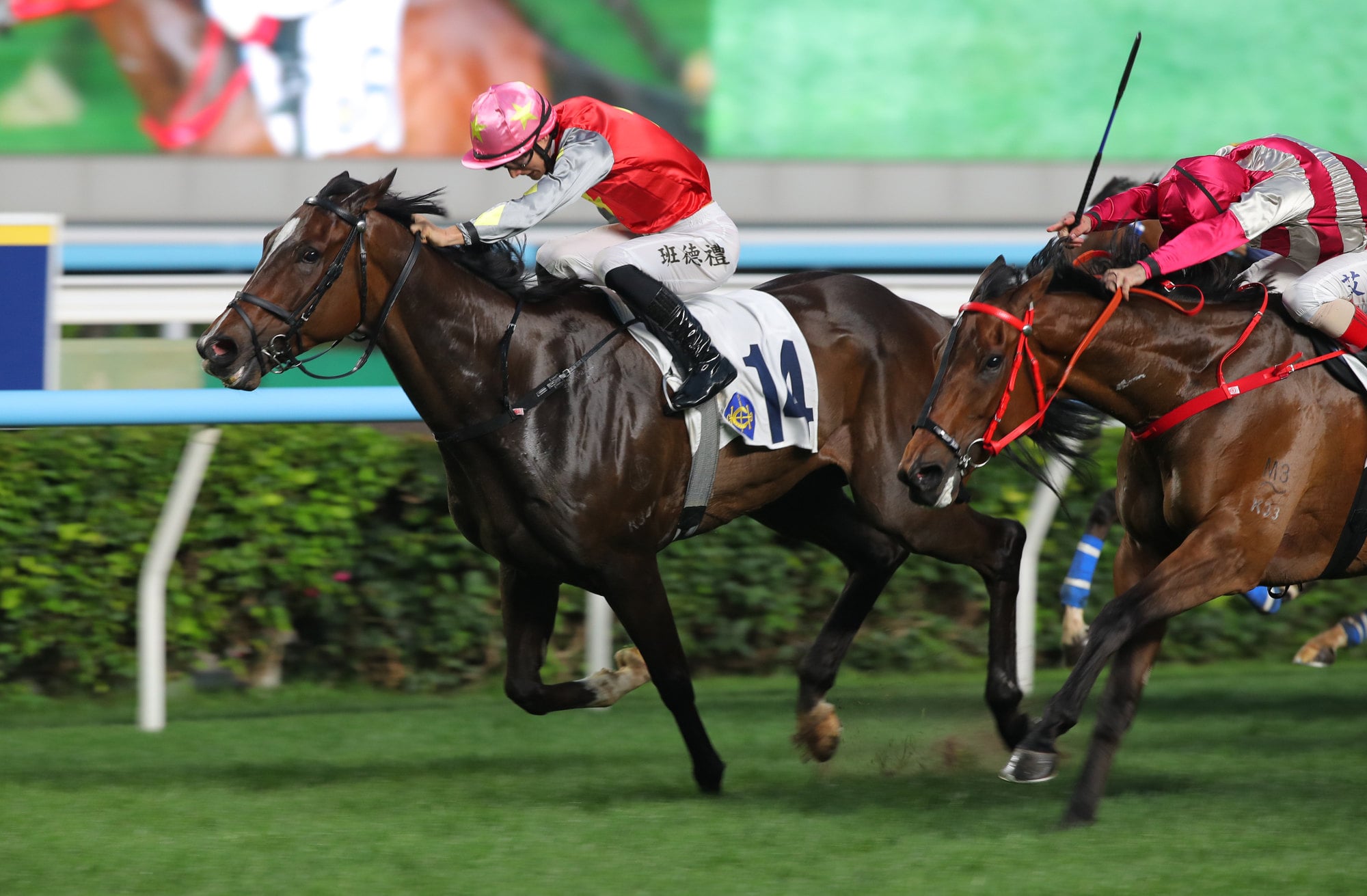 The Golden Knight (left) wins for Sha Tin.