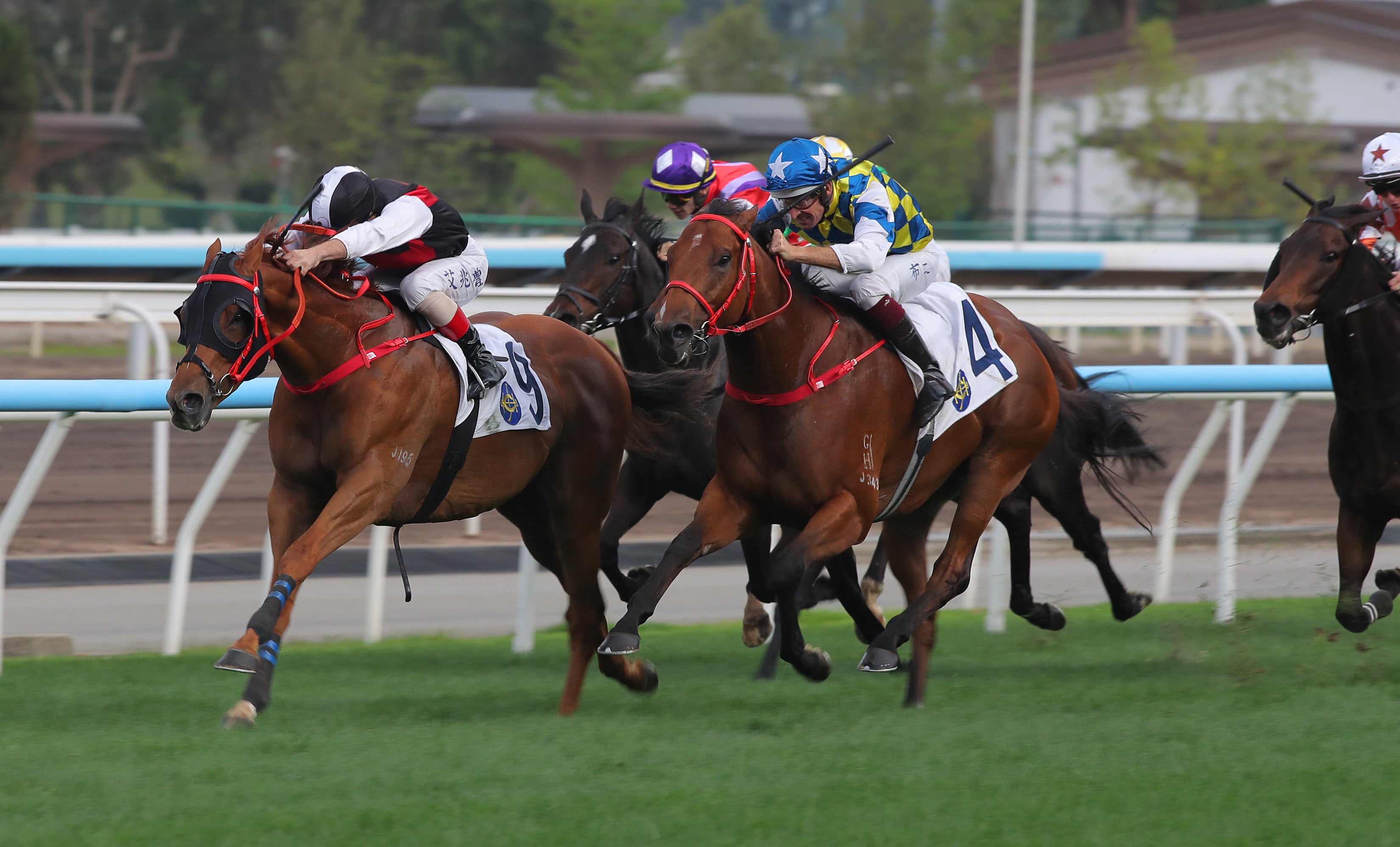 Andrea Atzeni and Young Champion win at Sha Tin. Photos: Kenneth Chan