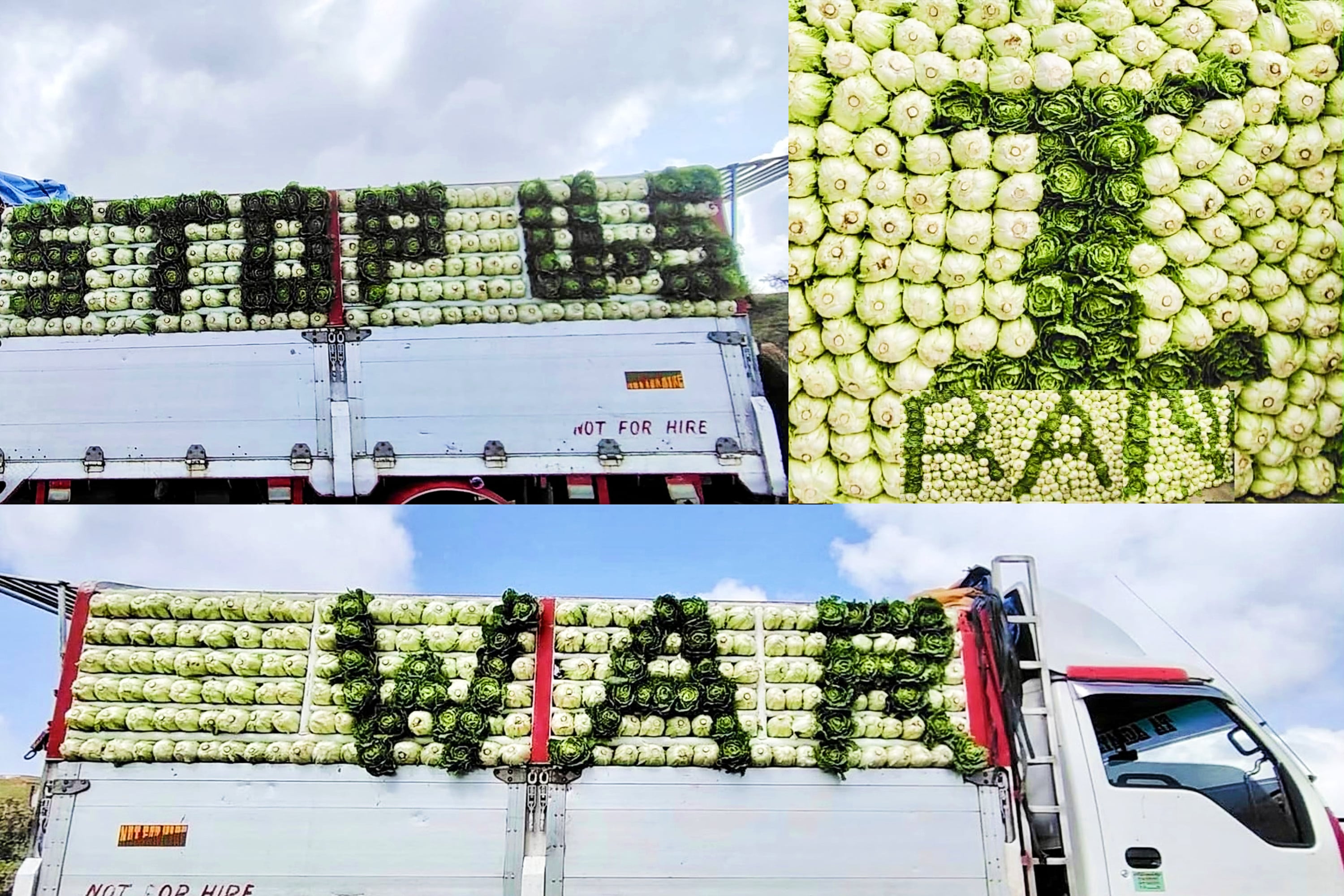 Philippine farmer Elmer Ullani spells out “Stop US-Iran War” with his cabbages after having to spend almost all of the money he had earned at the market to pay for the fuel needed to get him there and back. Photo: Facebook / Elmer Ullani