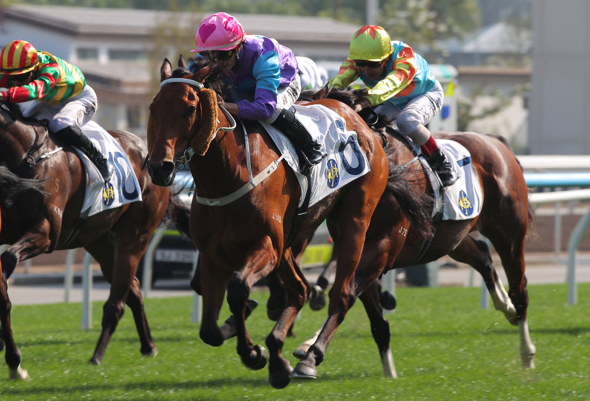 Stunning Peach, ridden by Angus Chung, goes back-to-back in Class Two company at Sha Tin. Stunning Peach, ridden by Angus Chung, goes back-to-back in Class Two company at Sha Tin.
