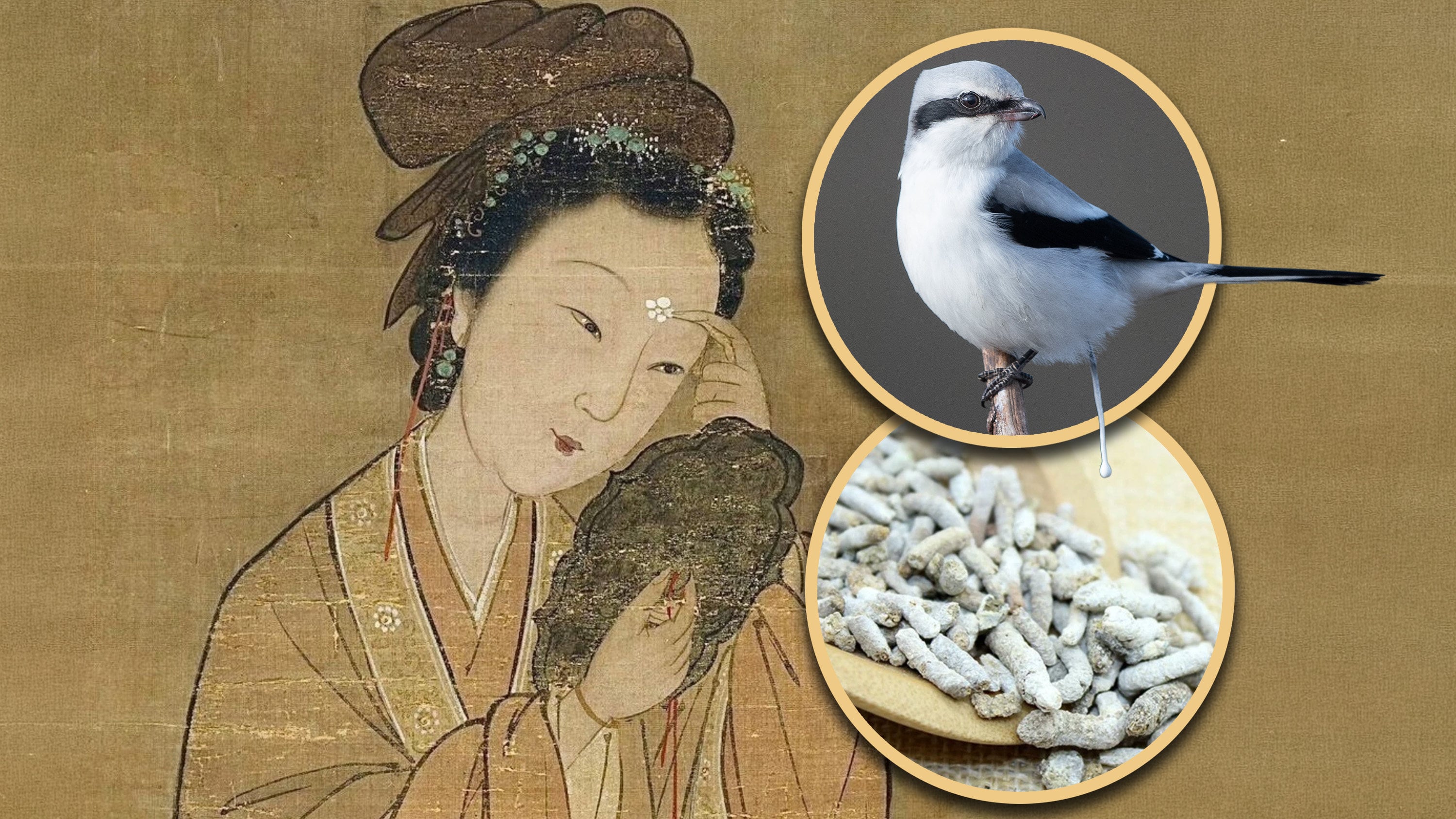In ancient China, using animal excrement in beauty routines was common and Empress Dowager Cixi was known to use bird droppings for skincare. Photo: SCMP composite/Shutterstock/Weibo/Baidu