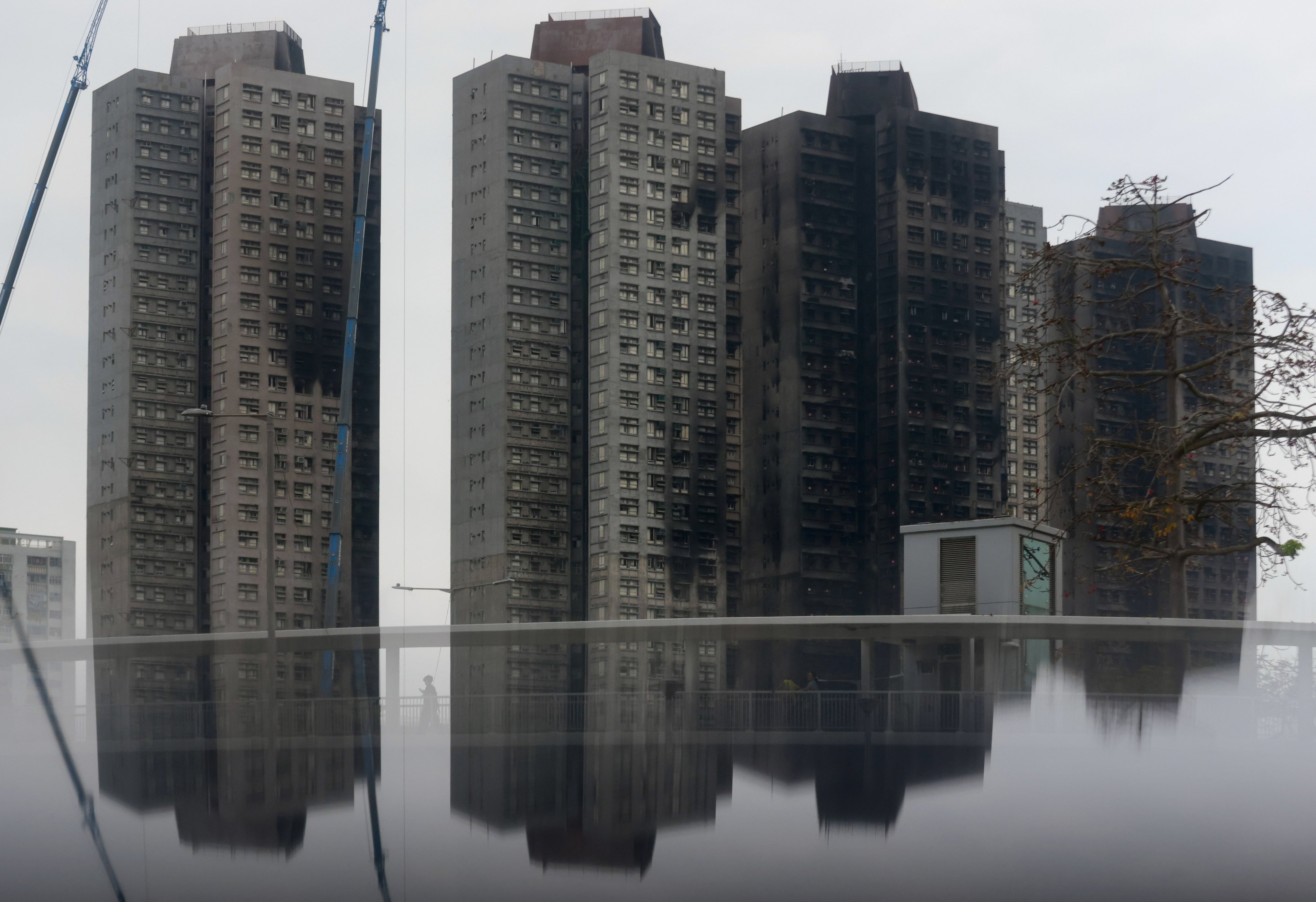 Wang Fuk Court in Tai Po on March 27. Photo: Jonathan Wong