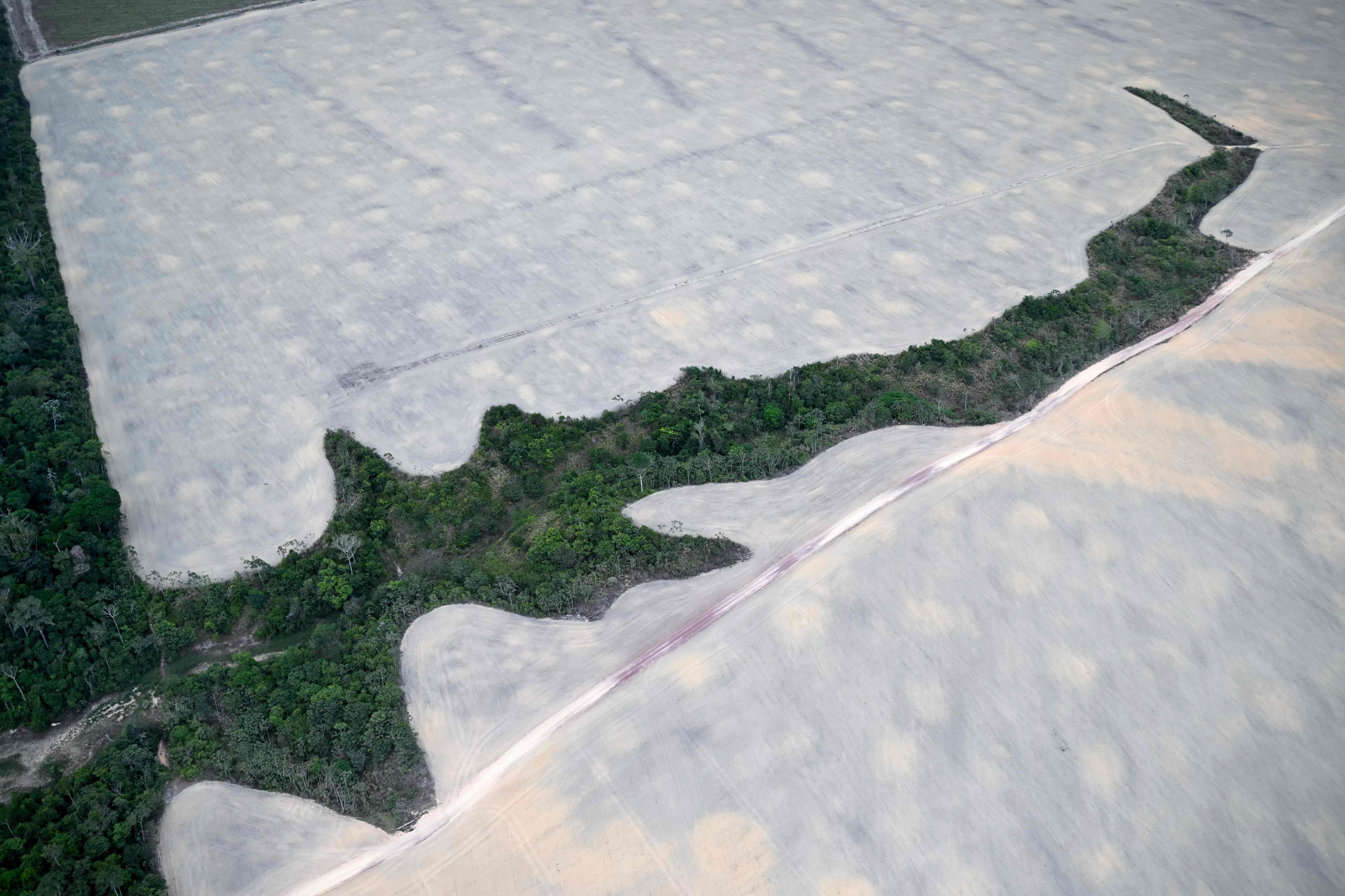 Brazil unveils a 2035 climate plan aiming to cut emissions by 67 per cent and eliminate deforestation by 2030, while tackling the impacts of extreme weather. Photo: AFP
