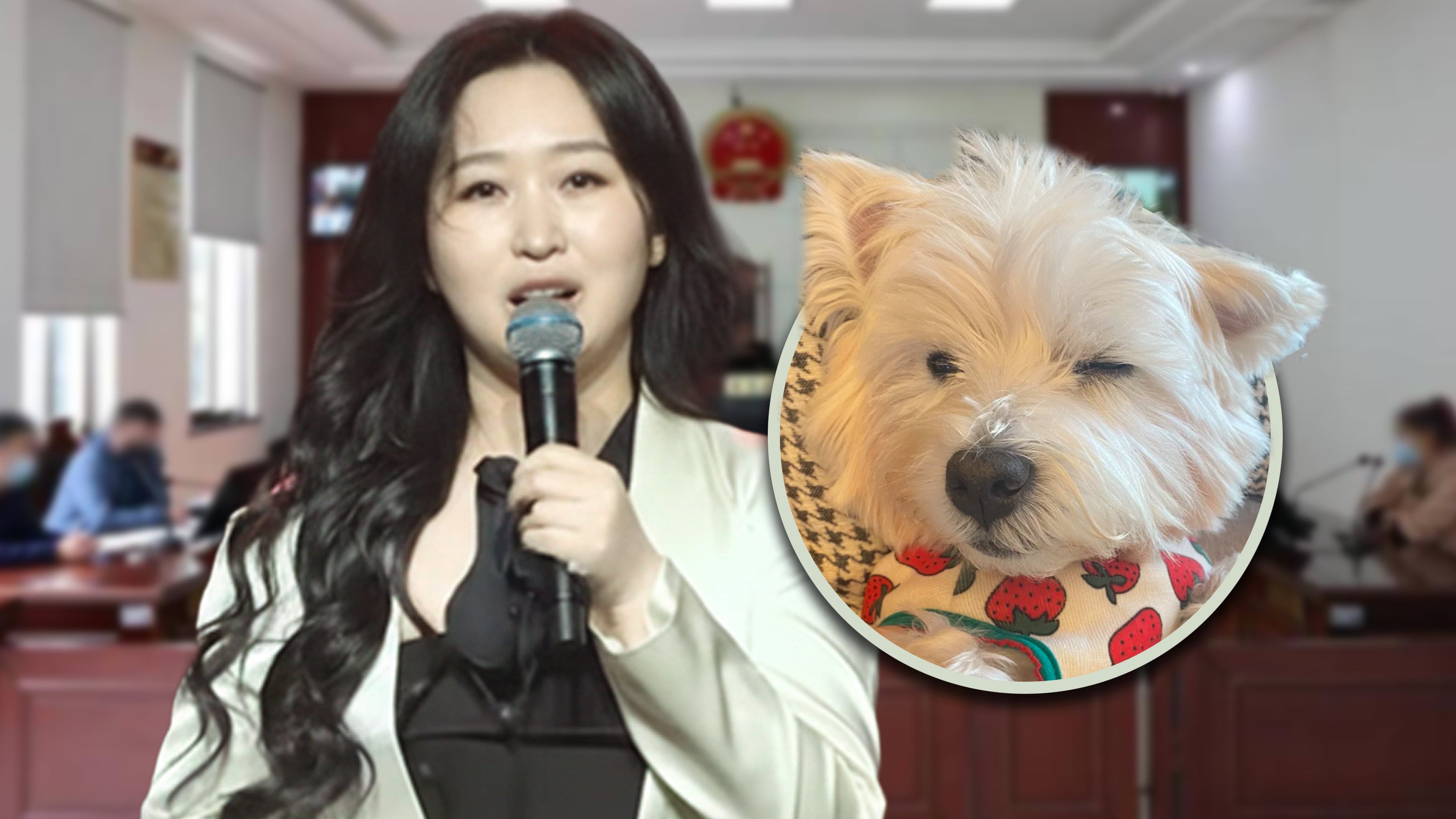 A Chinese woman studied law to fight for her pet dog which a neighbour poisoned. After her pet died in 2022, she sacrificed her job and social life for the cause. Photo: SCMP composite/RedNote