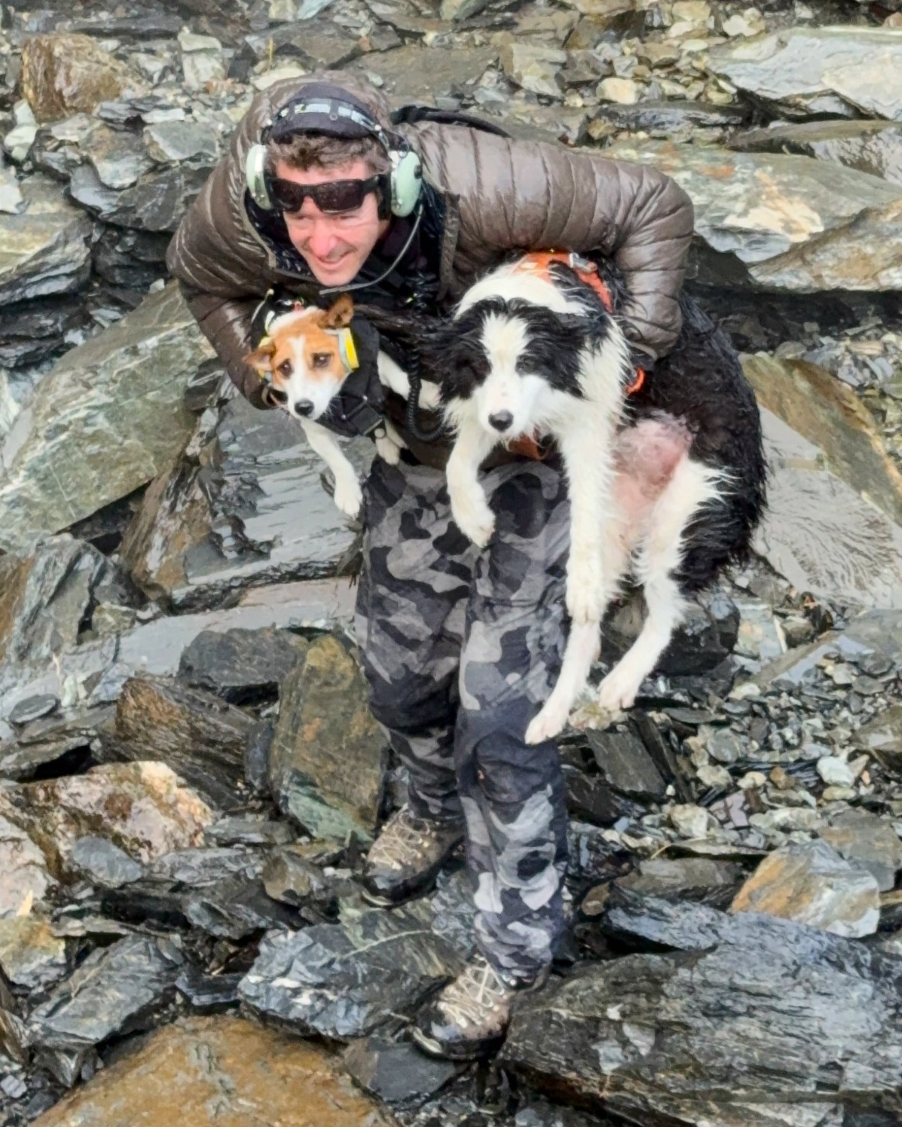 A volunteer holds Molly (right) and Bingo at a waterfall on the Arahura River on the West Coast of the South Island of New Zealand on Tuesday. Photo: Precision Helicopters/AP