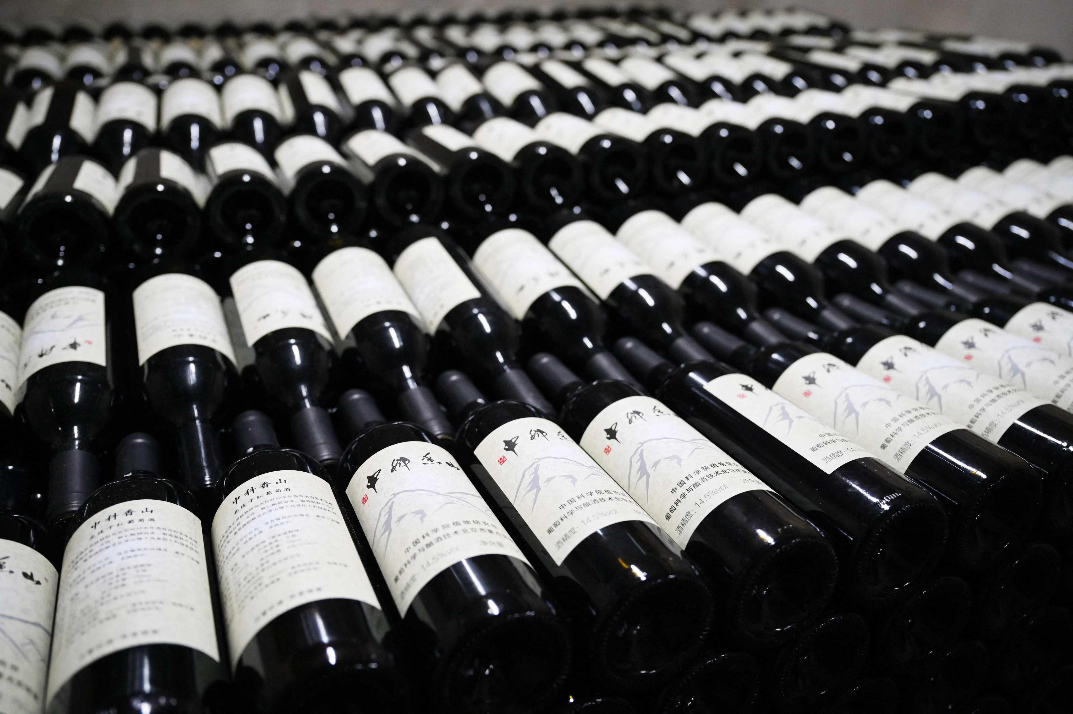 Chinese wines are increasing in popularity and holding their own against old world vintages. Photo: AFP