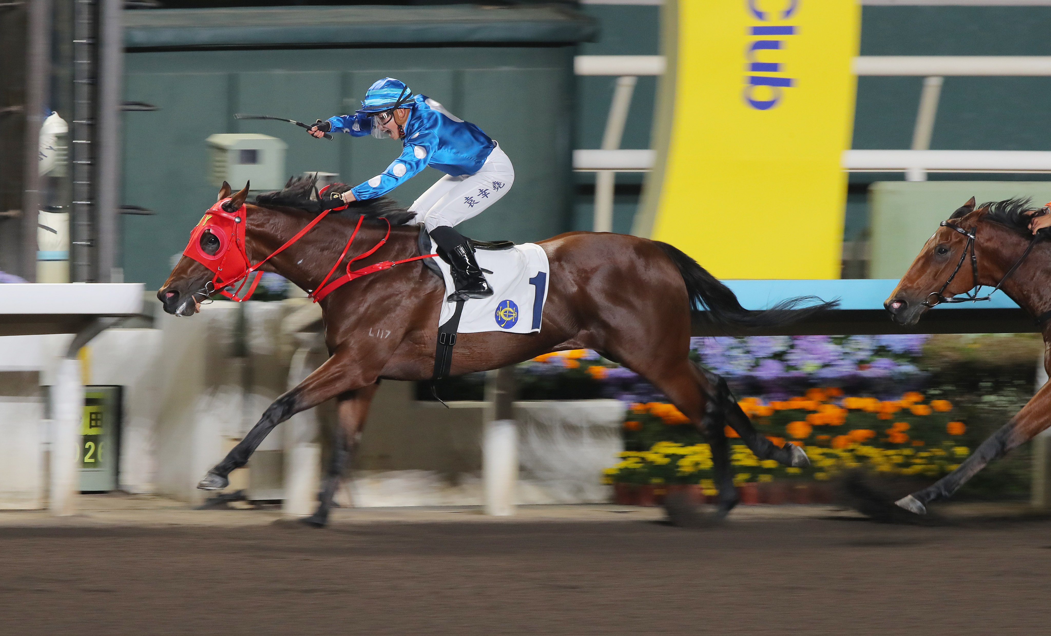 Pi Legend provides Nichola Yuen with her first win in Hong Kong. Photos: Kenneth Chan.