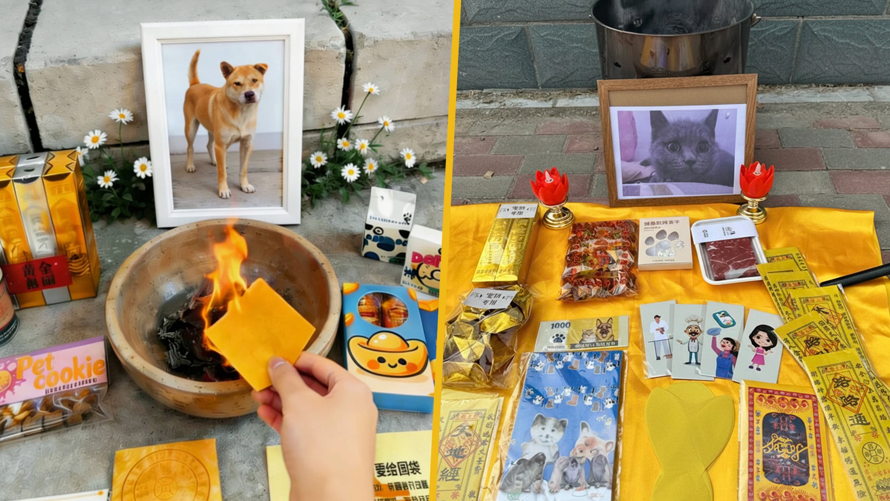 The rising popularity of pet funeral services in China signifies a growing trend where owners seek elaborate send-offs for their pets, including unique paper offerings like gourmet foods and cremation services. Photo: SCMP composite/RedNote