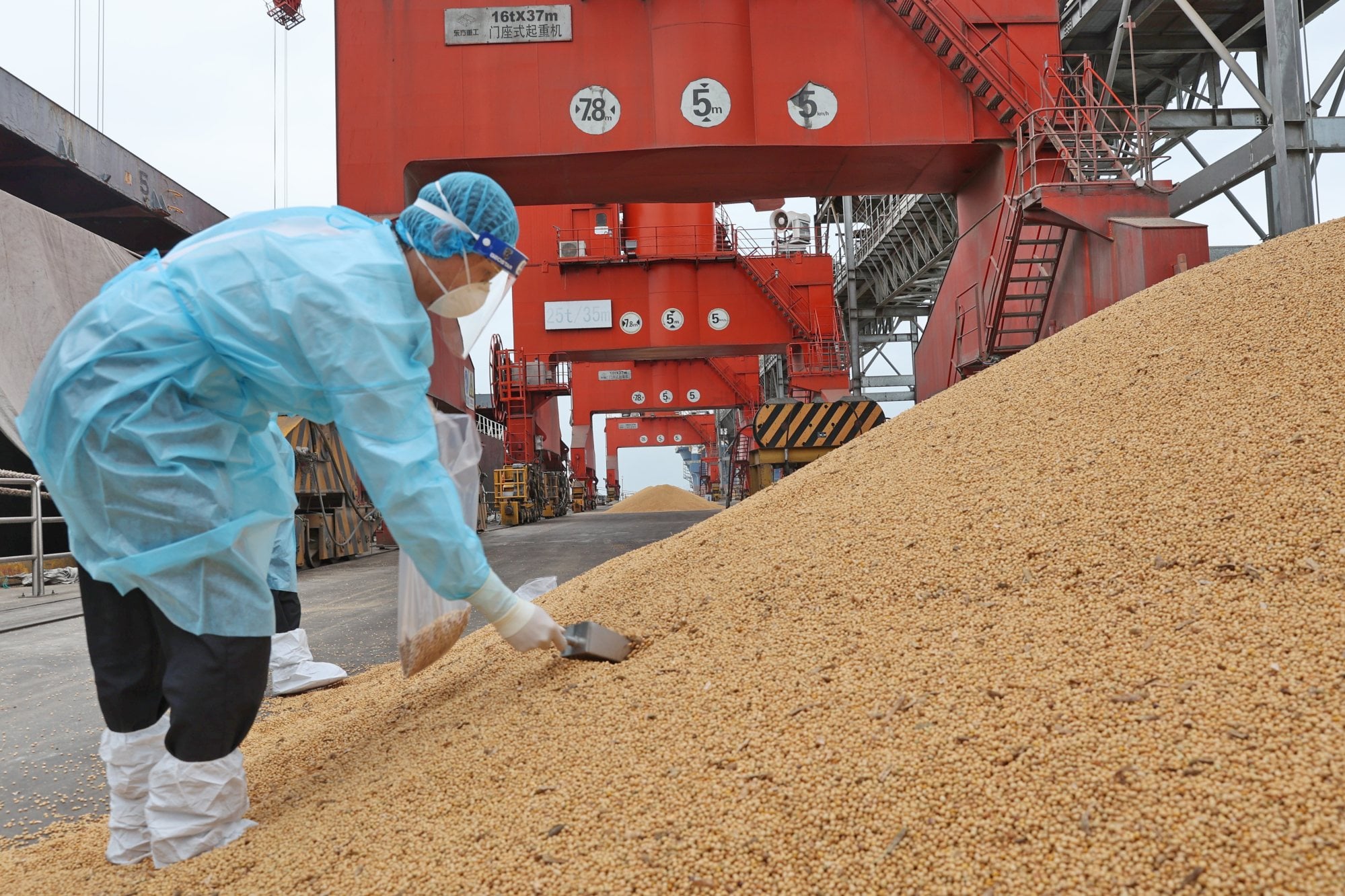 A customs officer checks soybeans imported from Brazil at a wharf in Nantong, China. Photo: VCG via Getty Images A customs officer checks soybeans imported from Brazil at a wharf in Nantong, China. Photo: VCG via Getty Images