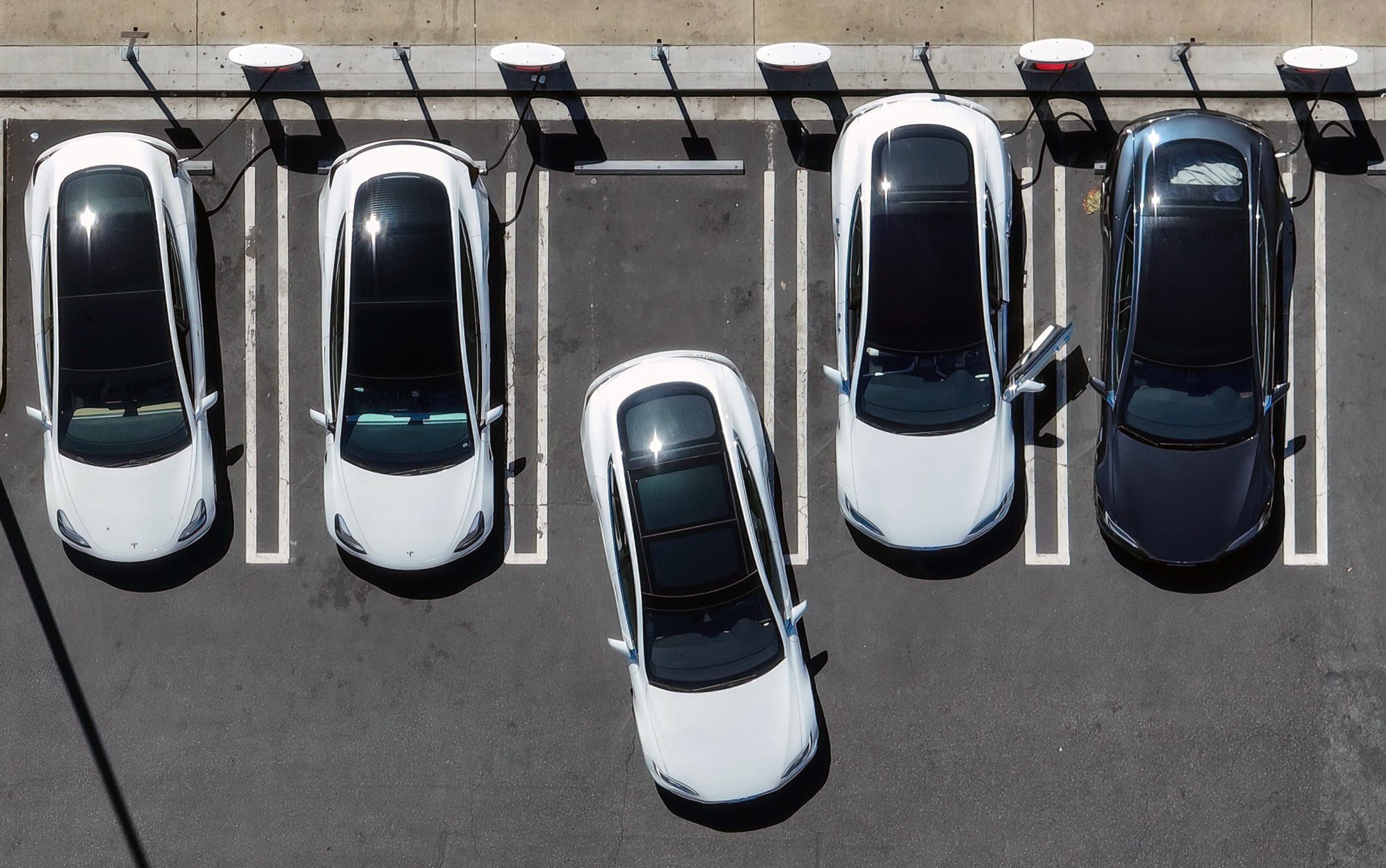 Drivers charge their vehicles at a Tesla supercharger station. Photo: TNS