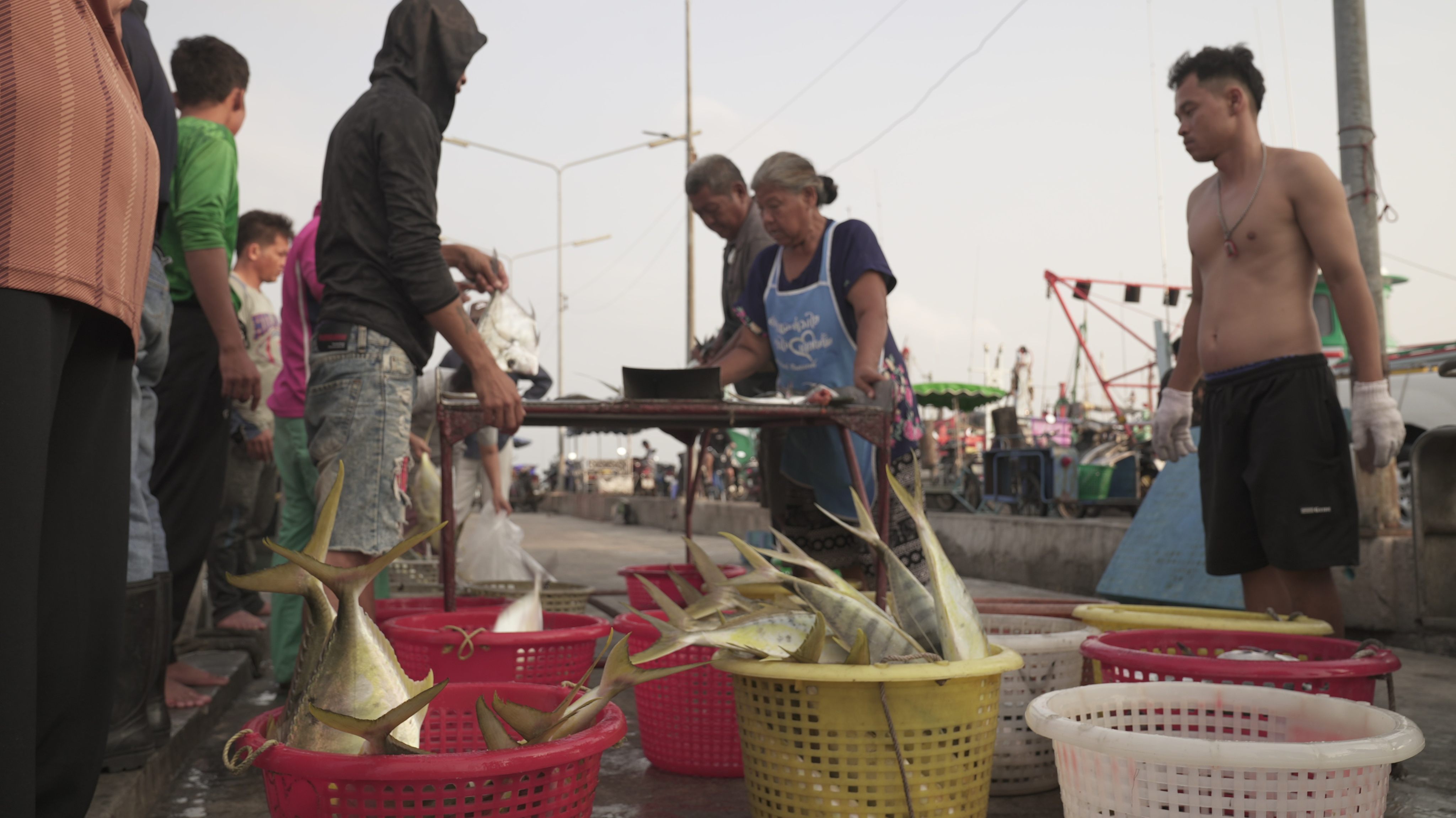 scmp.com - Aidan Jones - Thailand's fishing industry fights for survival as Iran war hits fuel costs