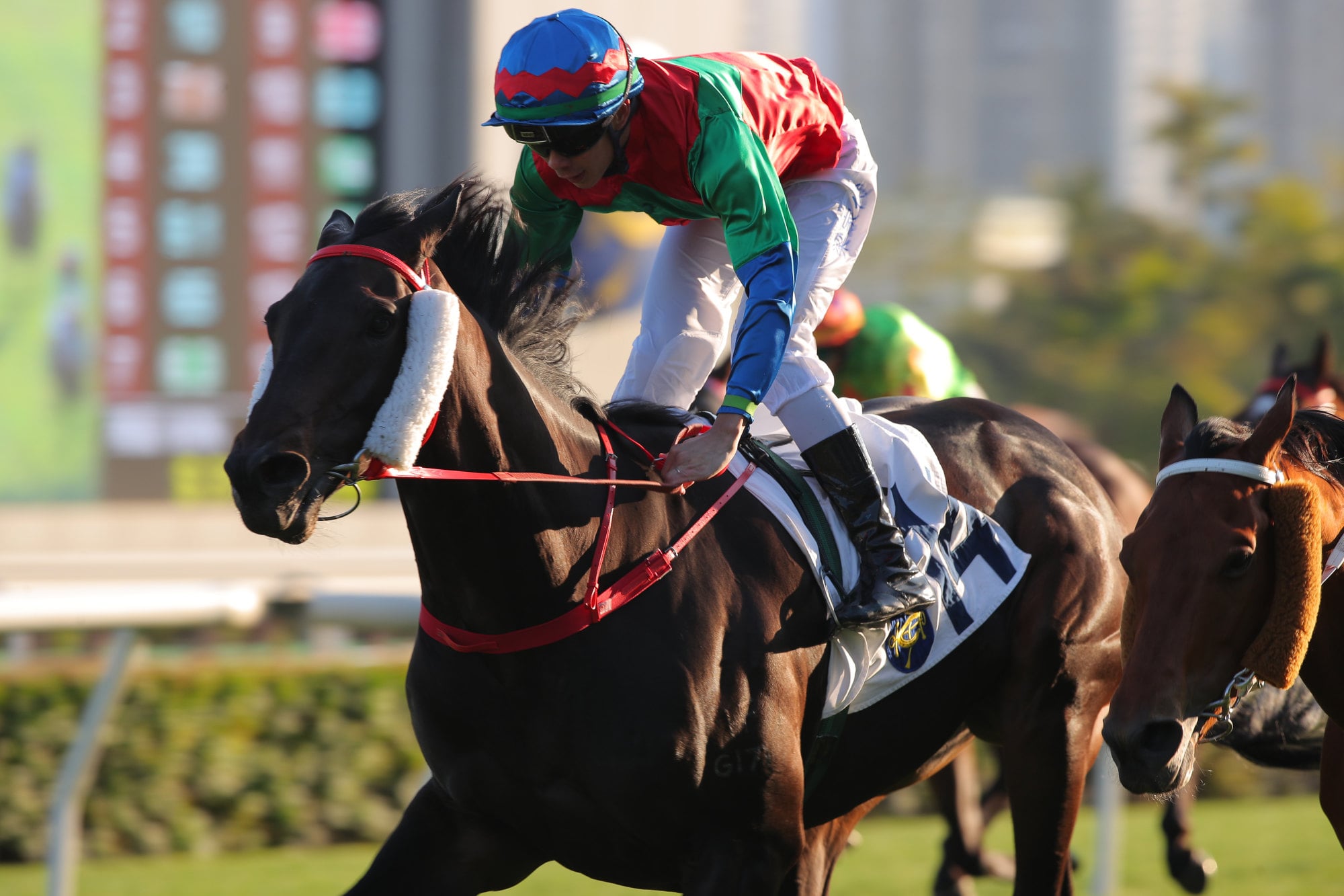 Money Catcher, ridden by Derek Leung, scores at Sha Tin.